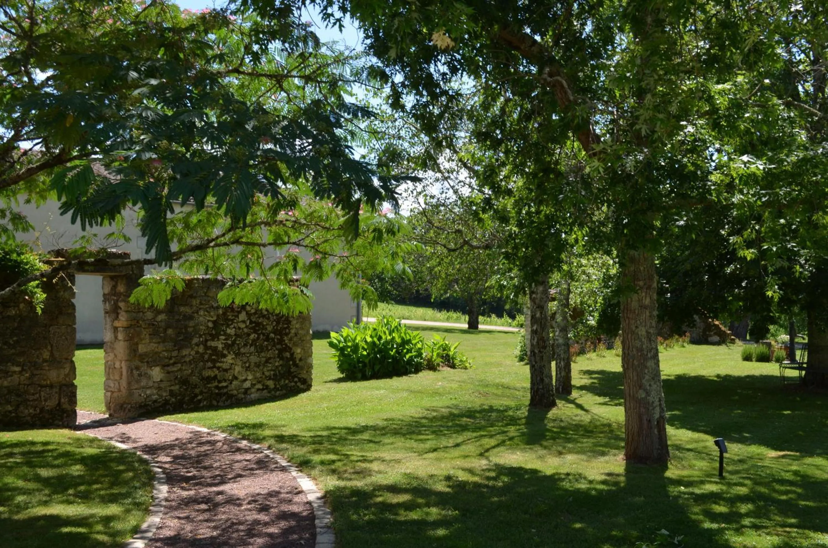 Garden in Chateau Masburel