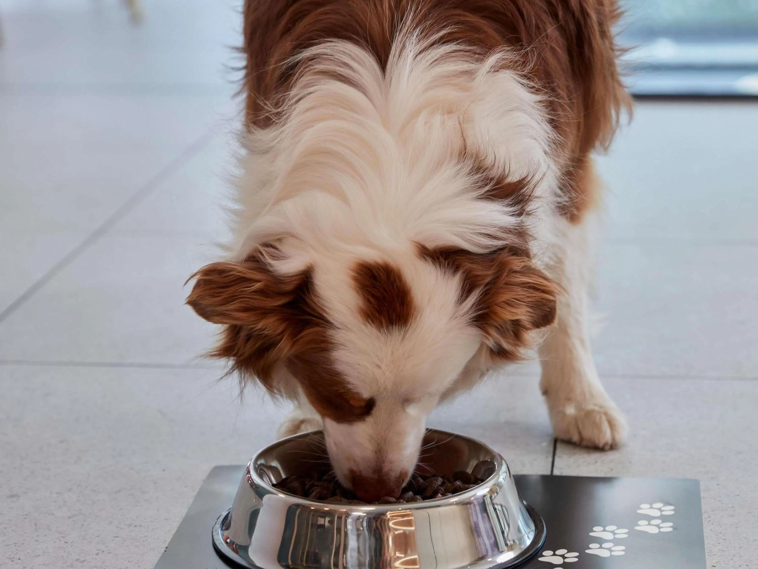 Breakfast in Adagio access Brussels Delta