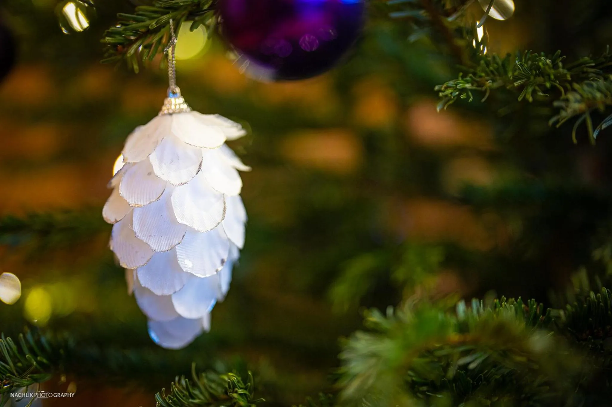 Schlosshotel Westerholt