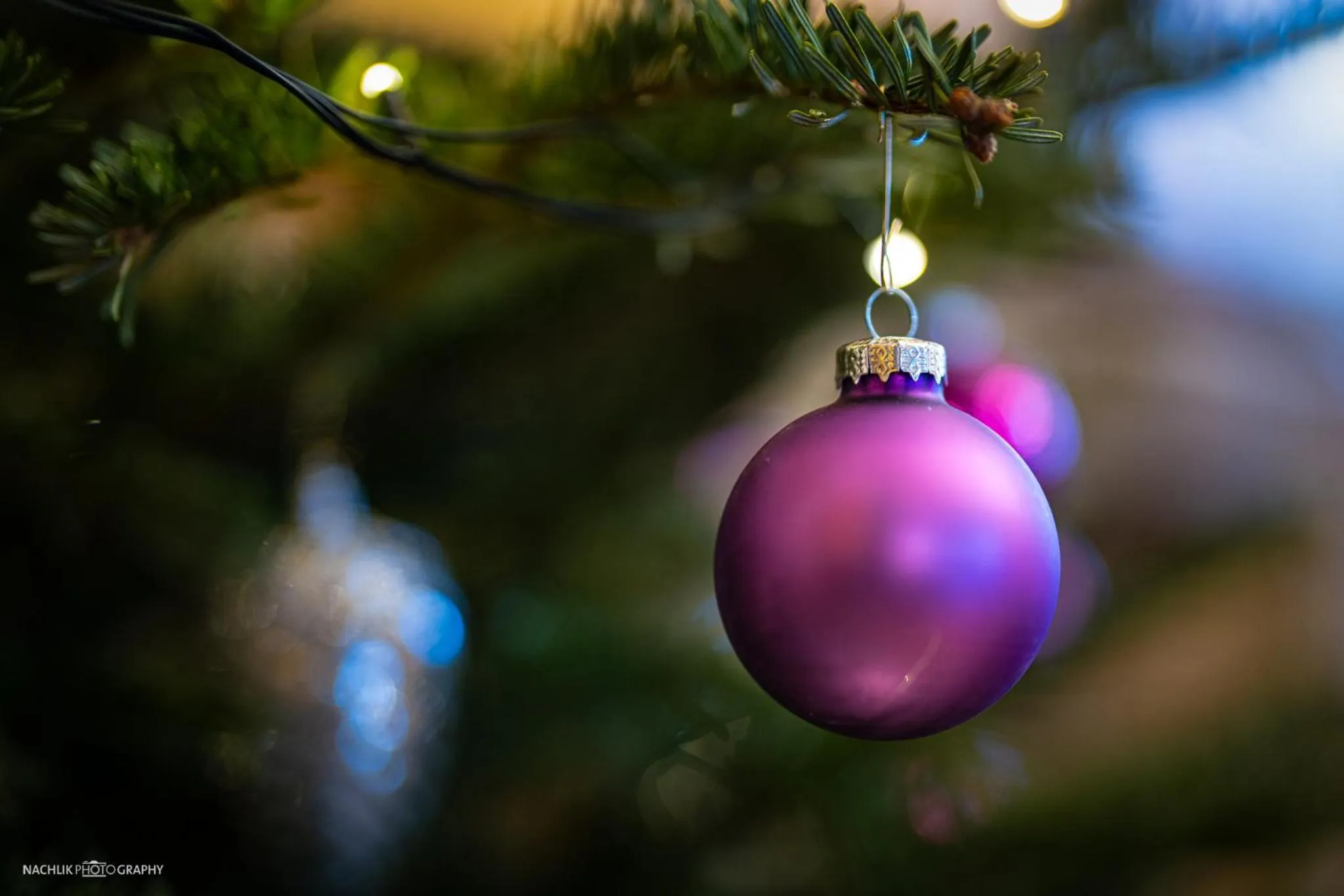 Schlosshotel Westerholt