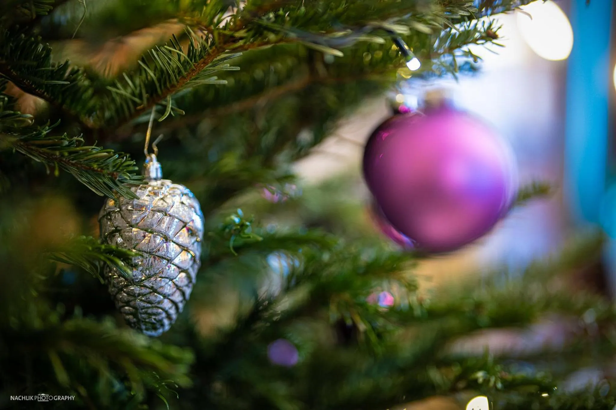 Schlosshotel Westerholt