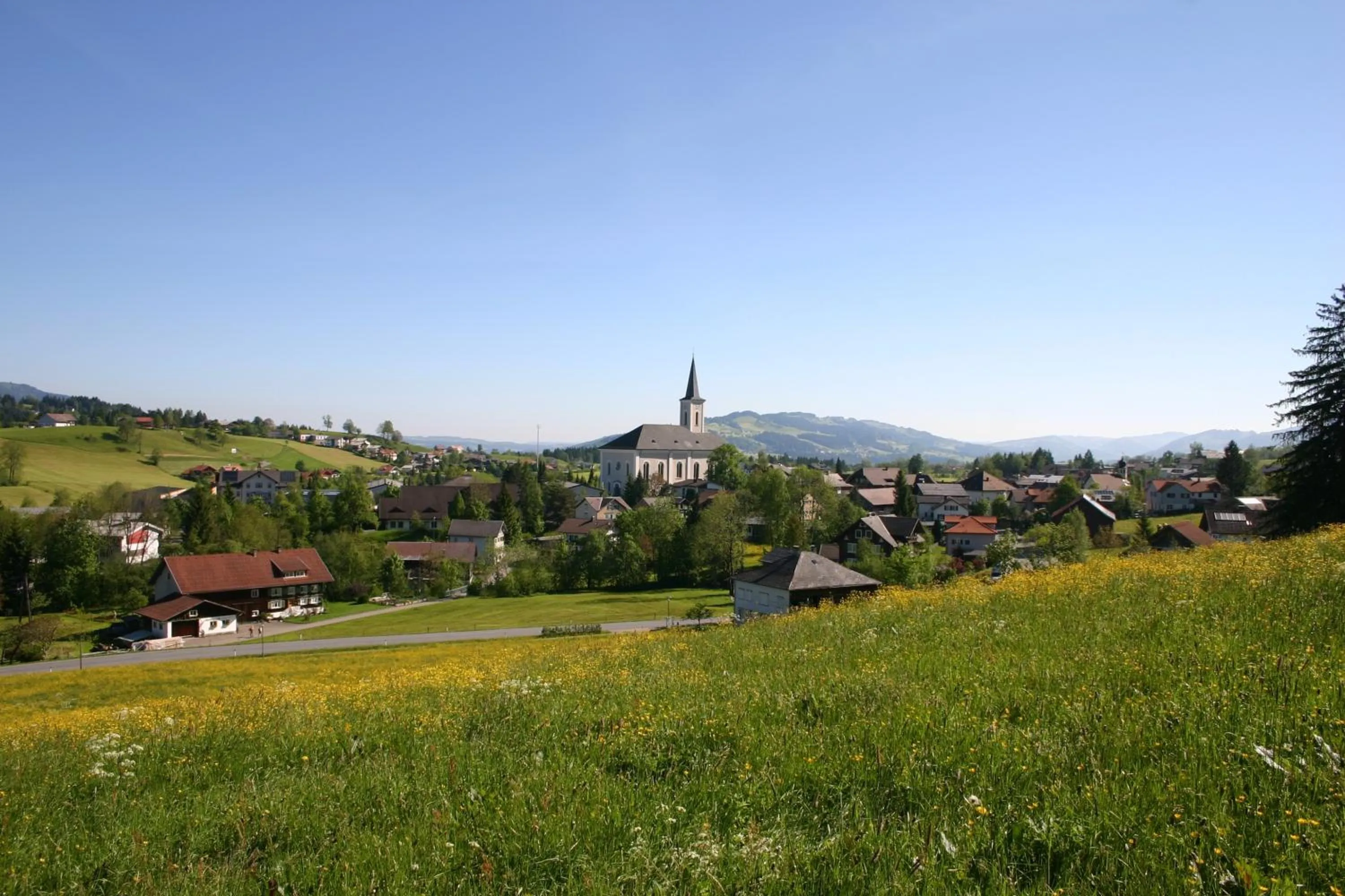 Natural landscape in Hotel Engel Alberschwende