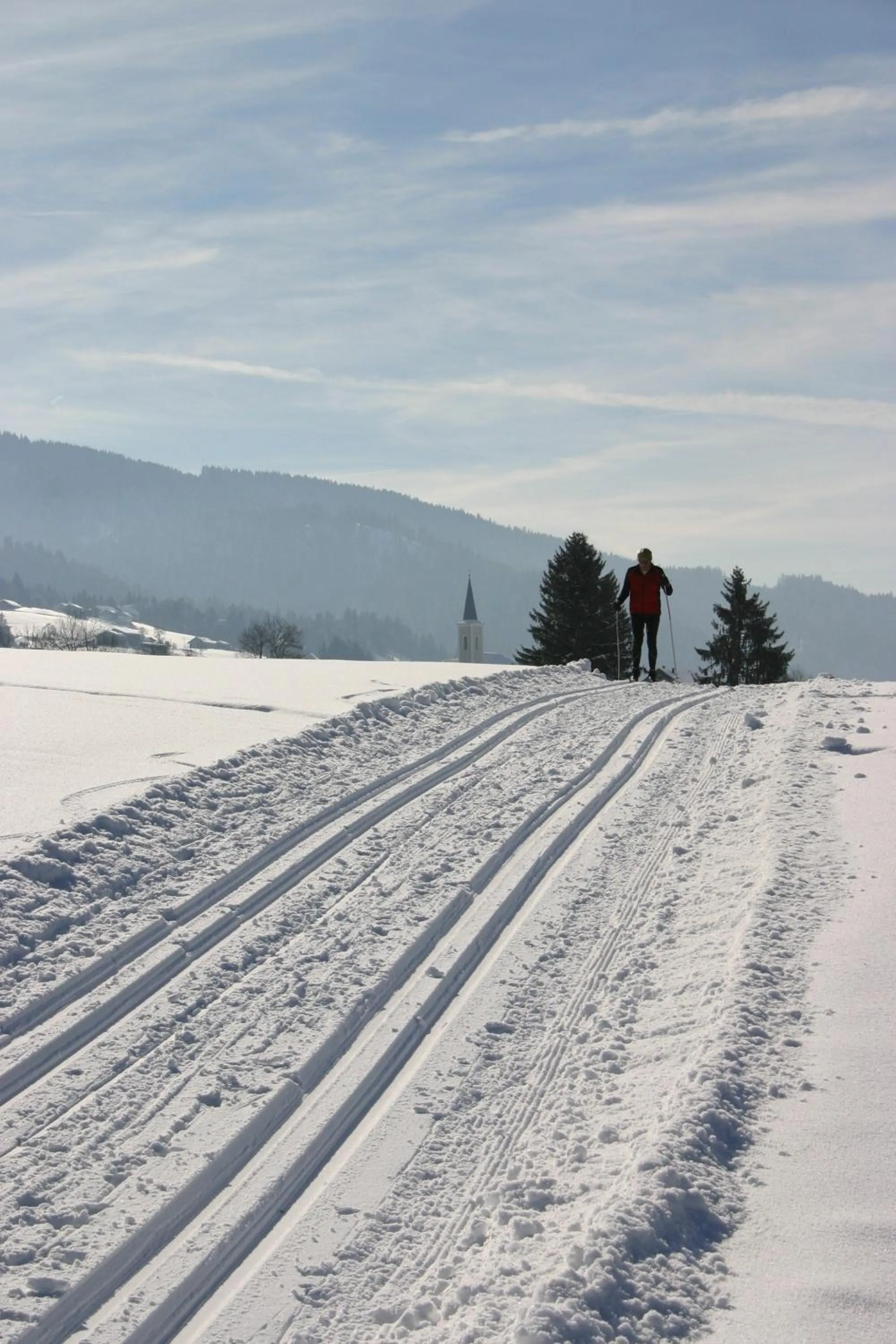 Area and facilities in Hotel Engel Alberschwende