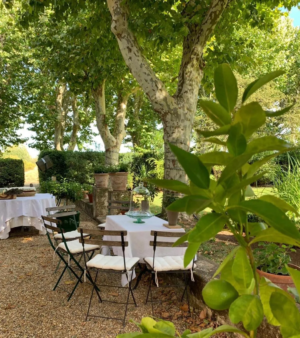 Patio in La Melizanne