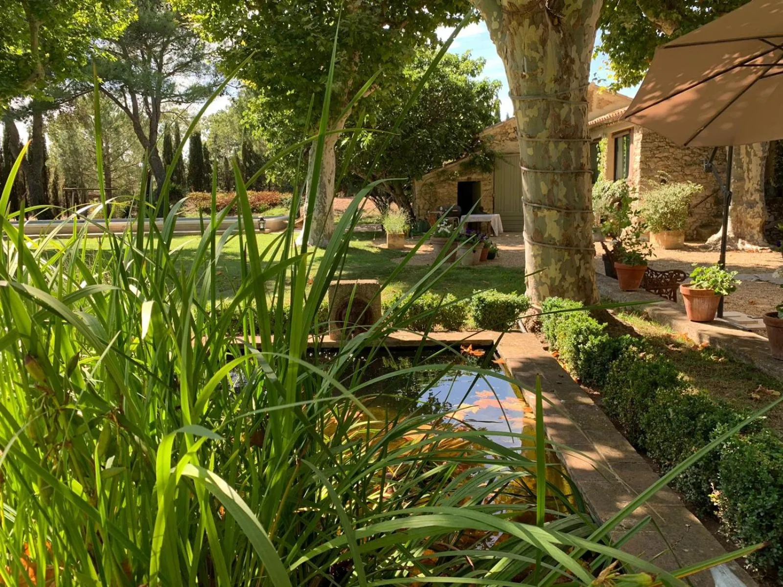 Garden in La Melizanne