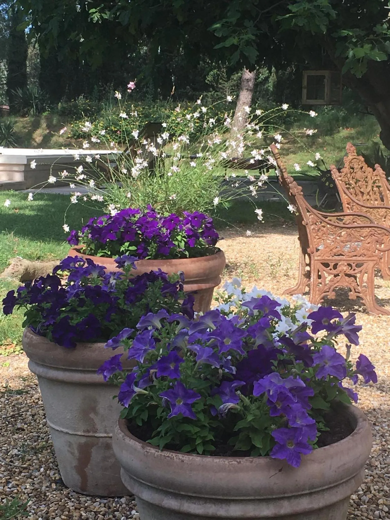 Garden in La Melizanne