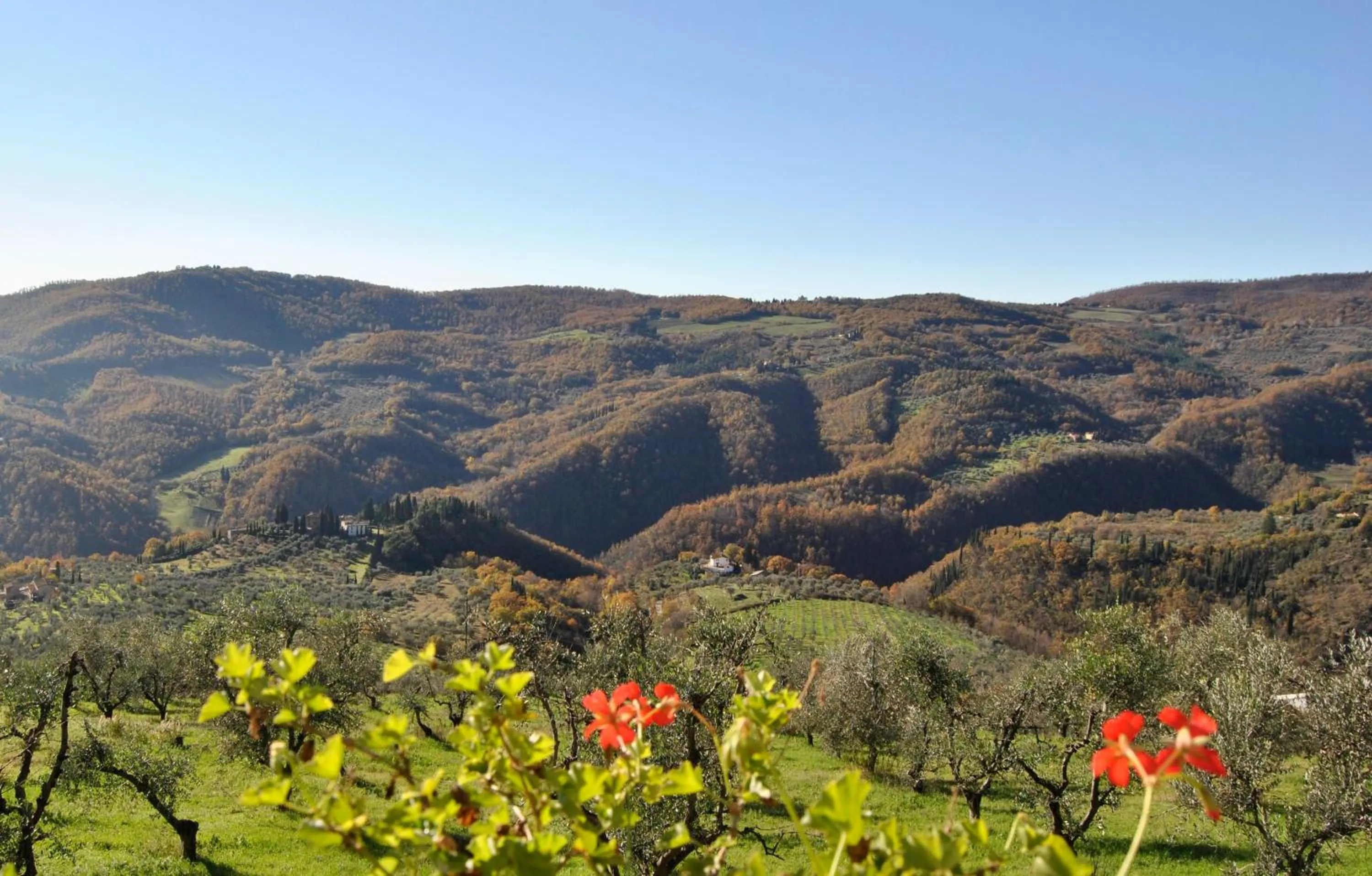 Agriturismo Antico Loggiato
