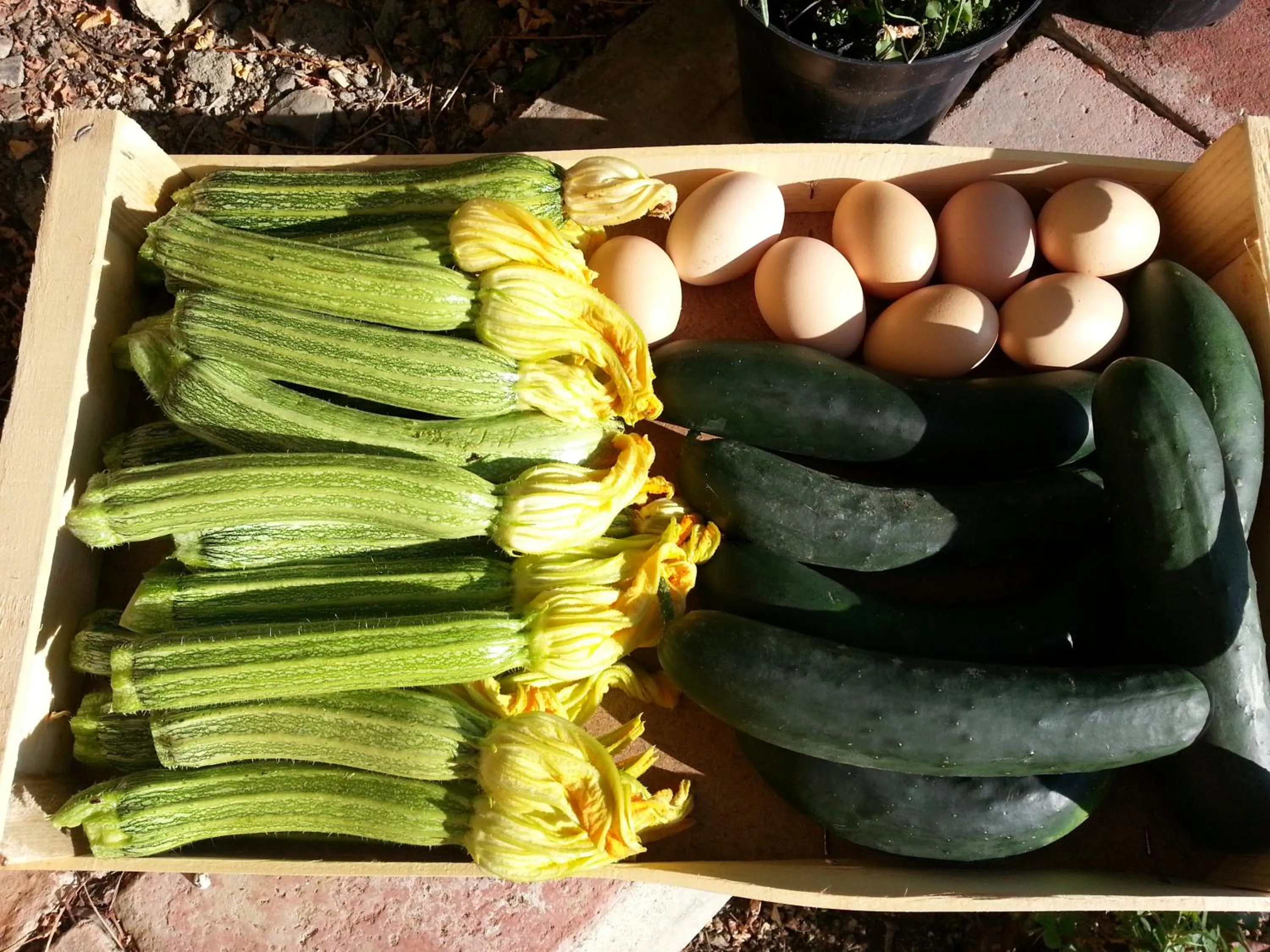 Agriturismo Antico Loggiato