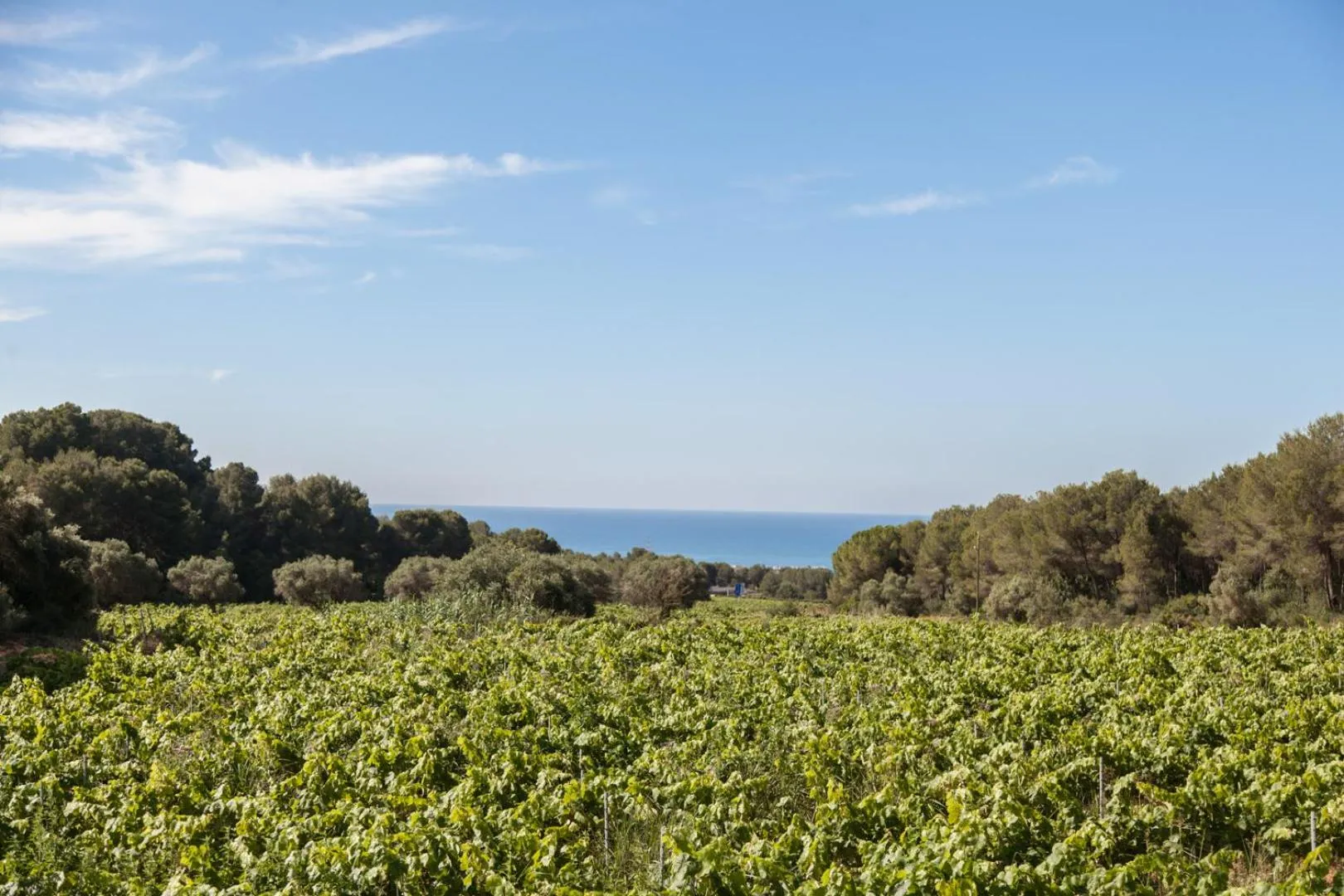 Mas Peirot Sitges