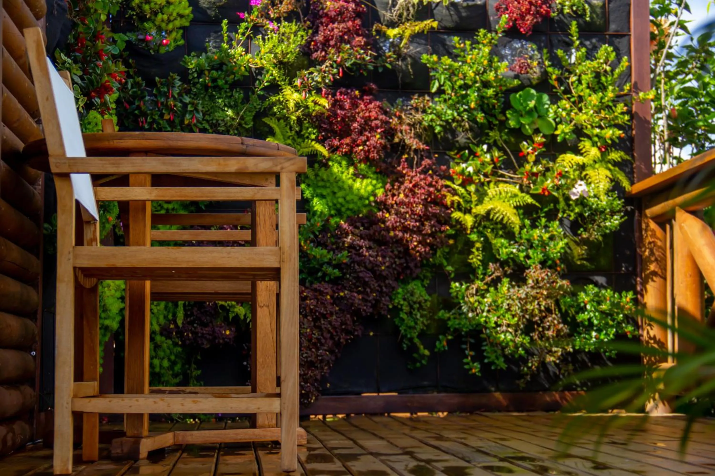 Garden in Sotavento Cabañas
