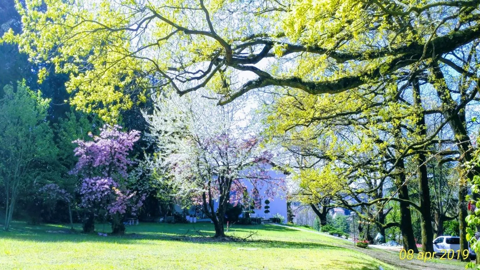 Garden in "La Selvetta" bed and breakfast