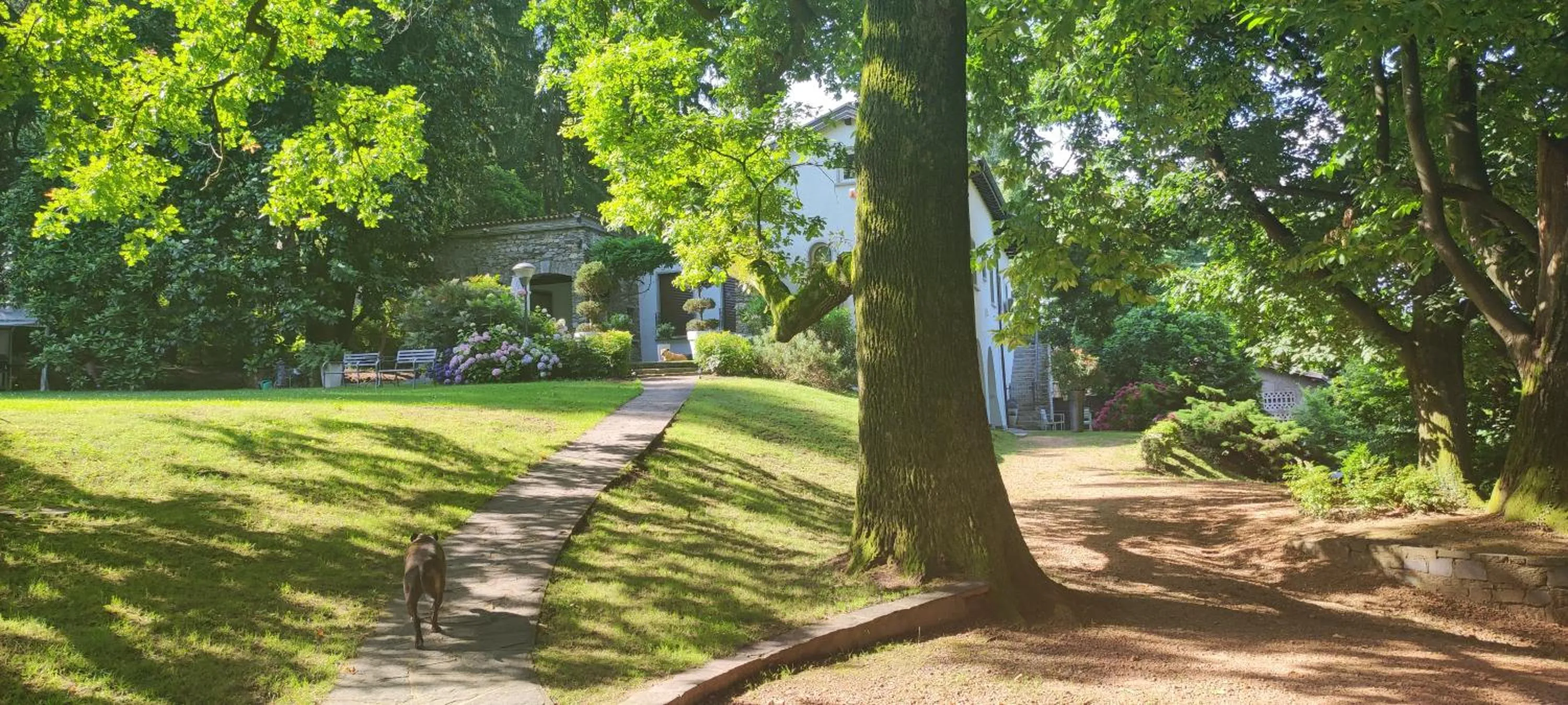 Garden view in "La Selvetta" bed and breakfast