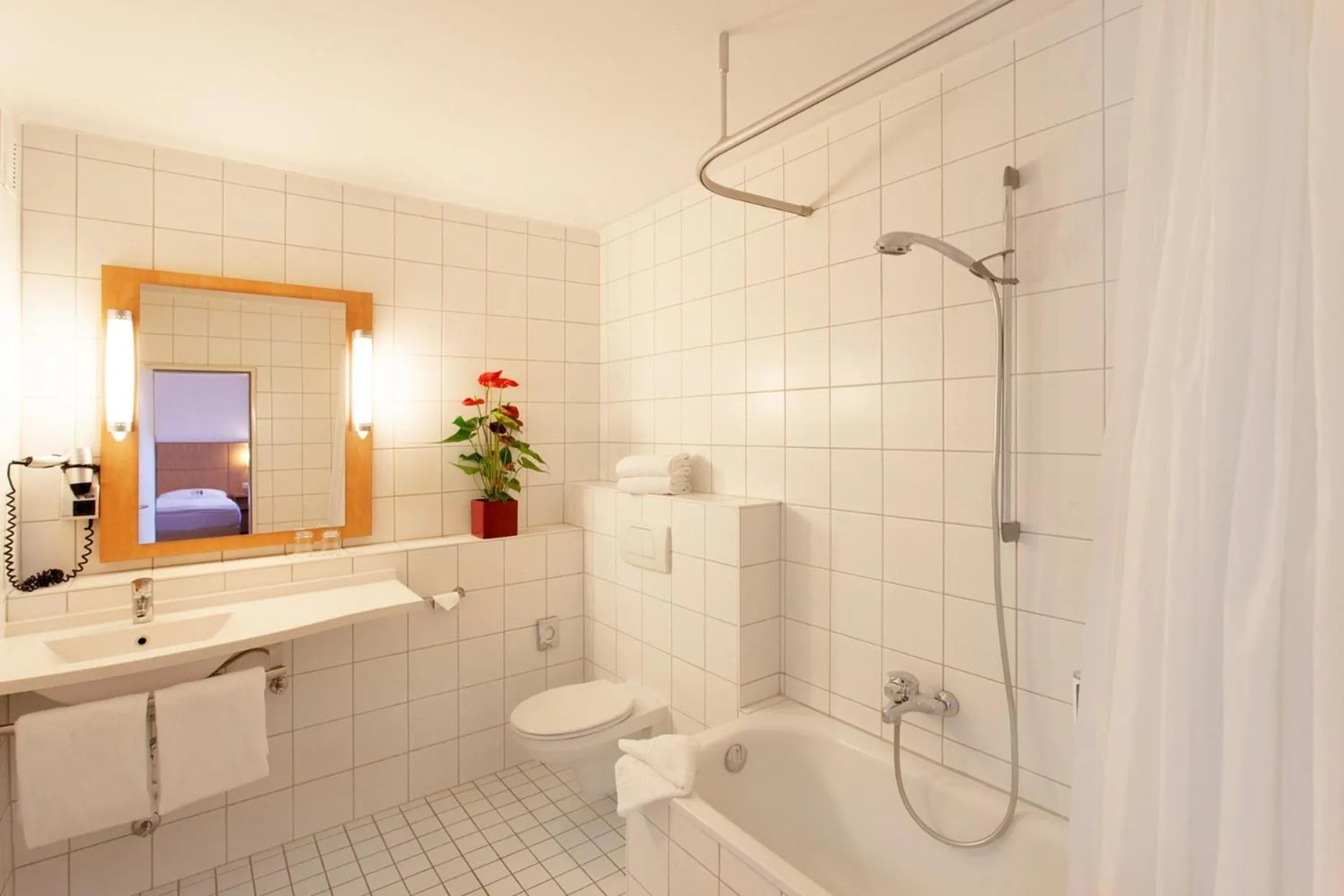 Shower in Saar City Hotel Superior