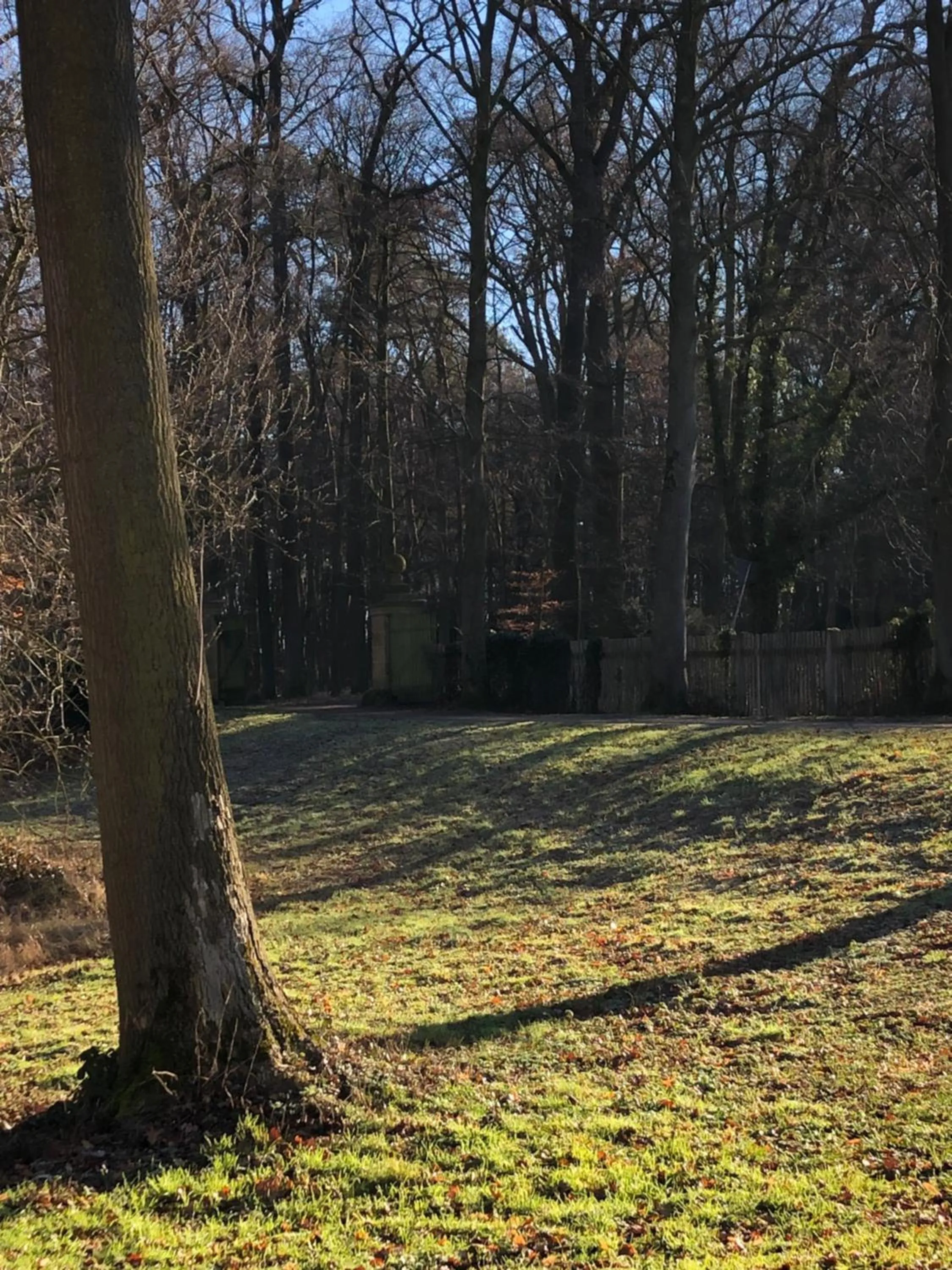 Nearby landmark in Hotel am Doktorplatz