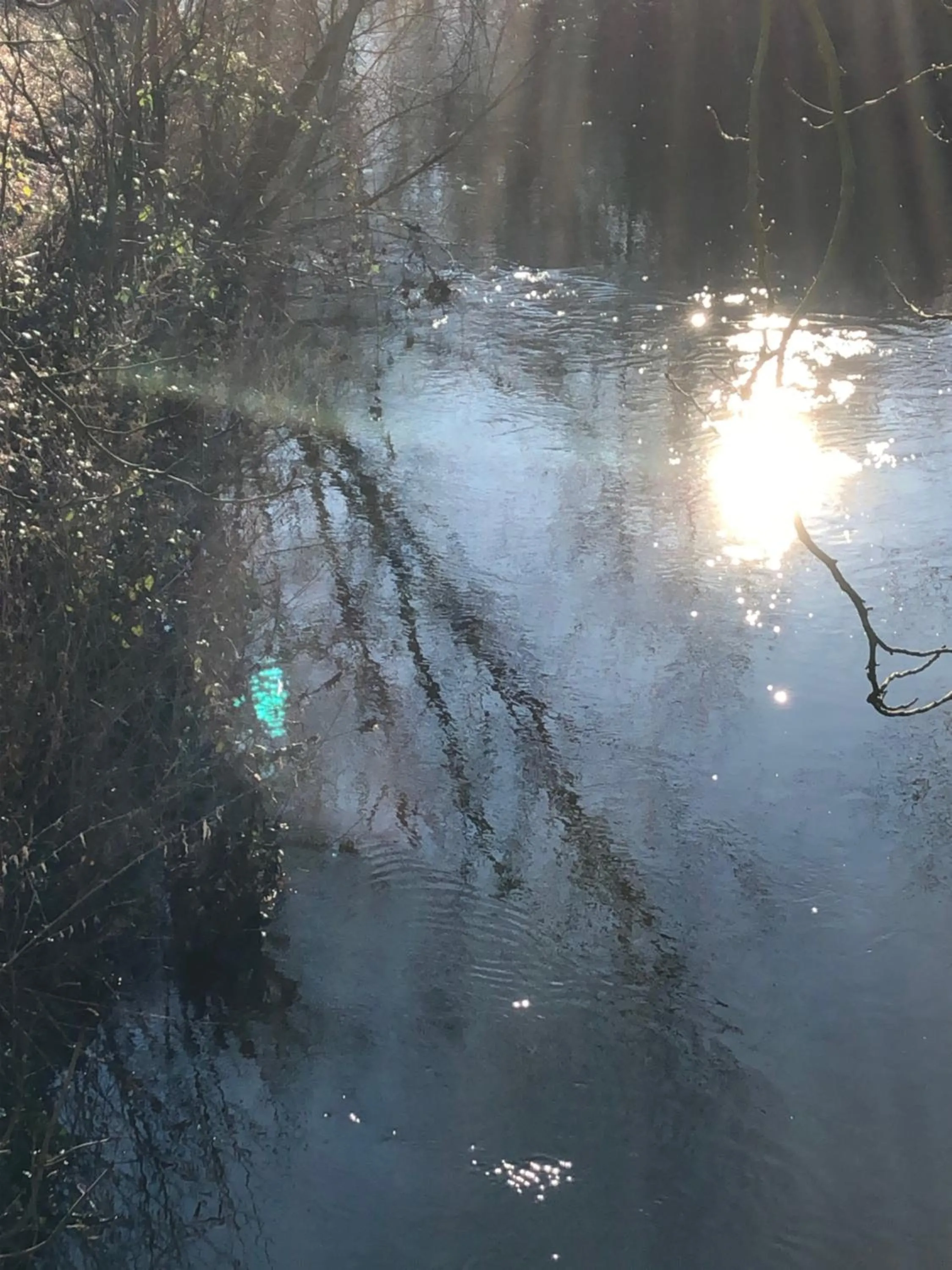 Nearby landmark in Hotel am Doktorplatz