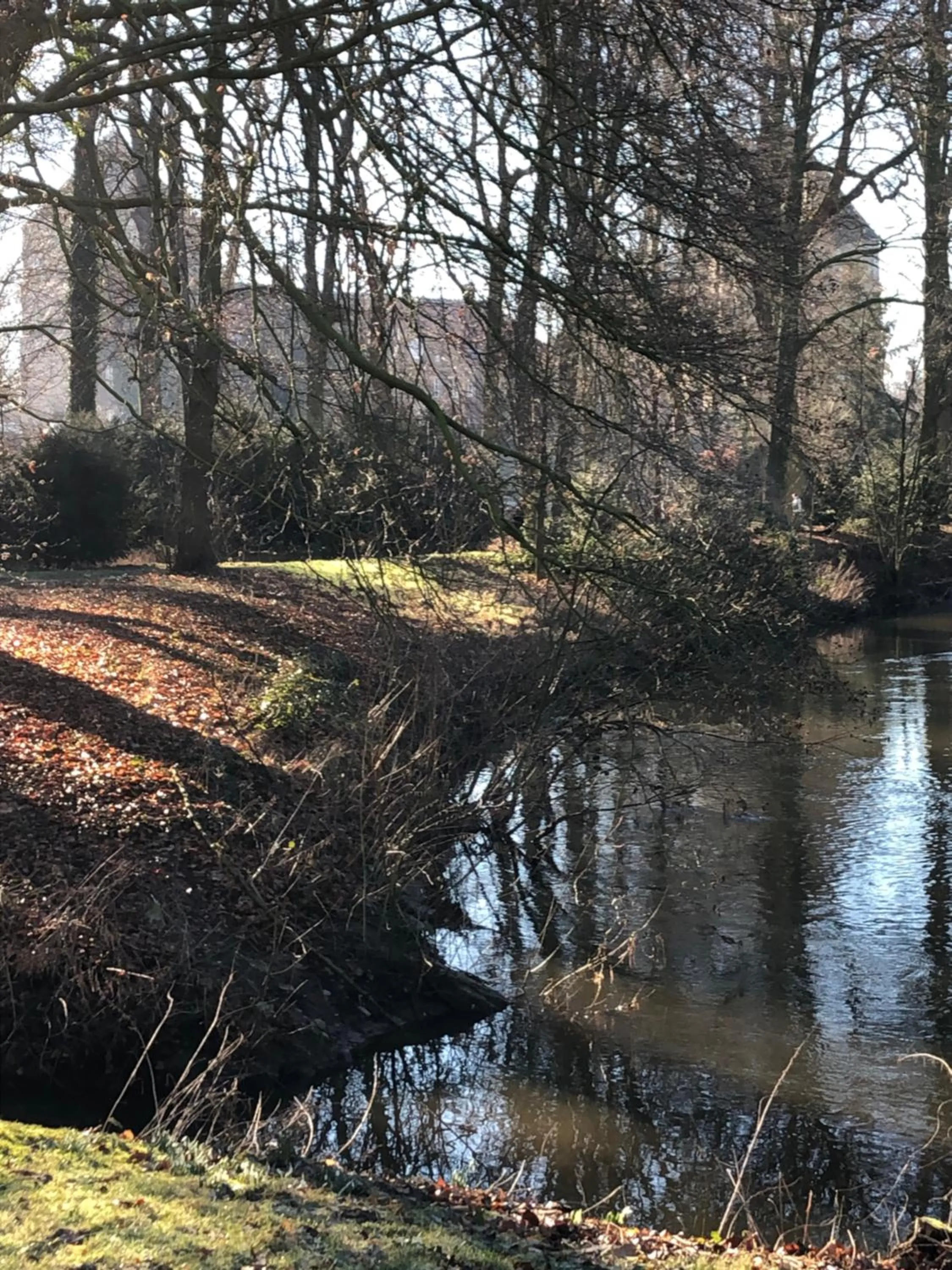Nearby landmark in Hotel am Doktorplatz