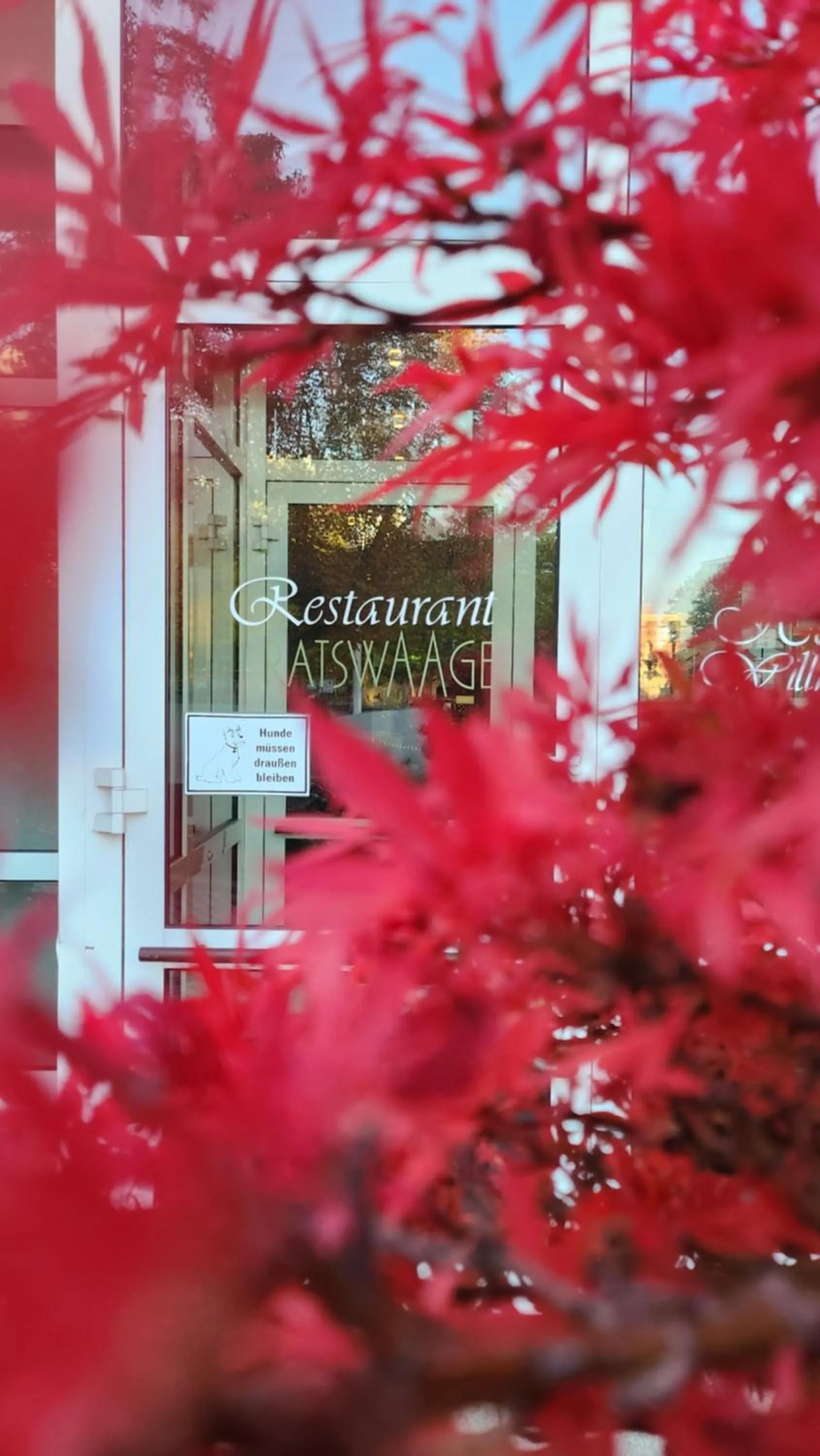 Balcony/Terrace in Hotel Ratswaage