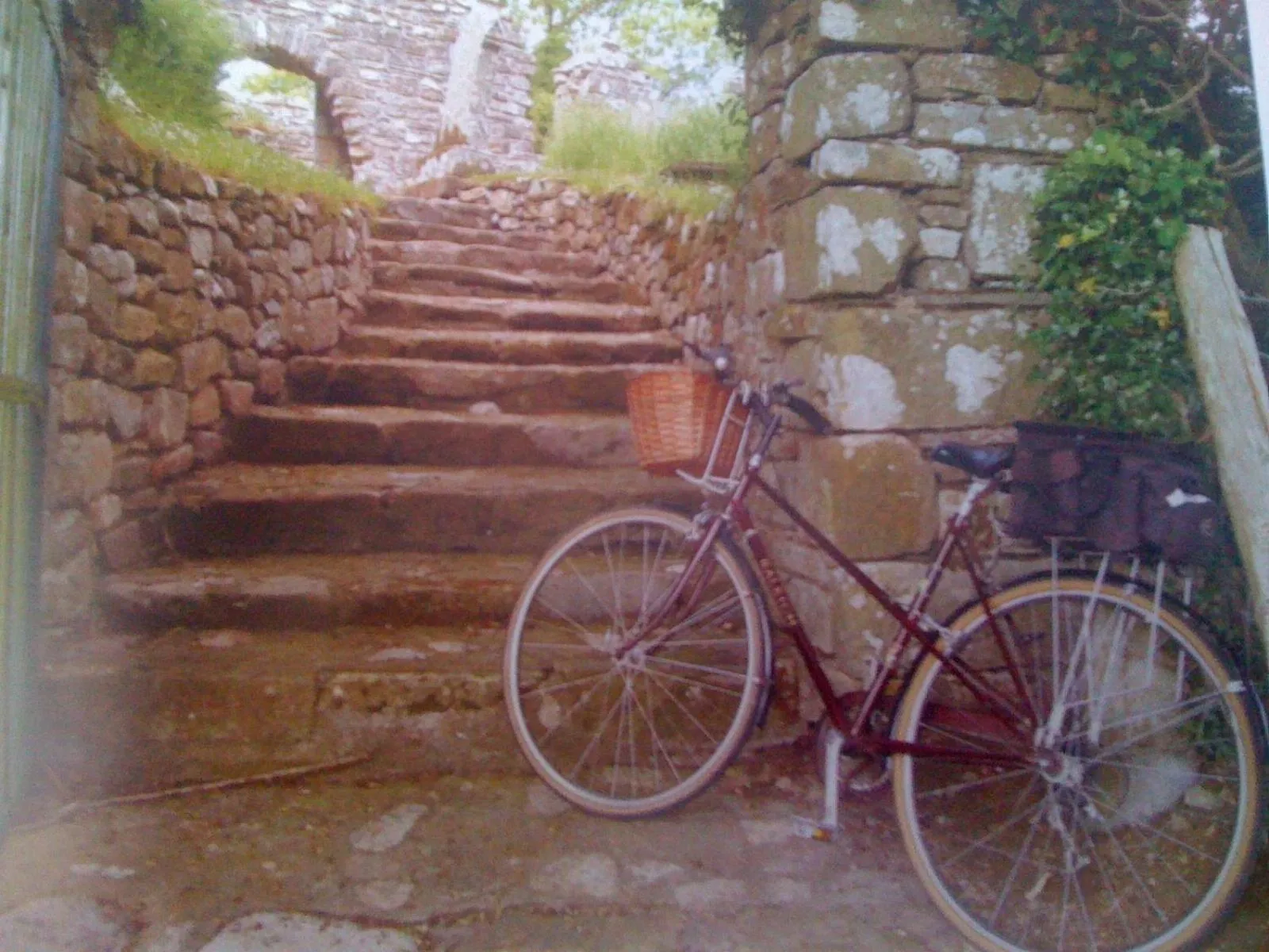 Cycling in The Vandees