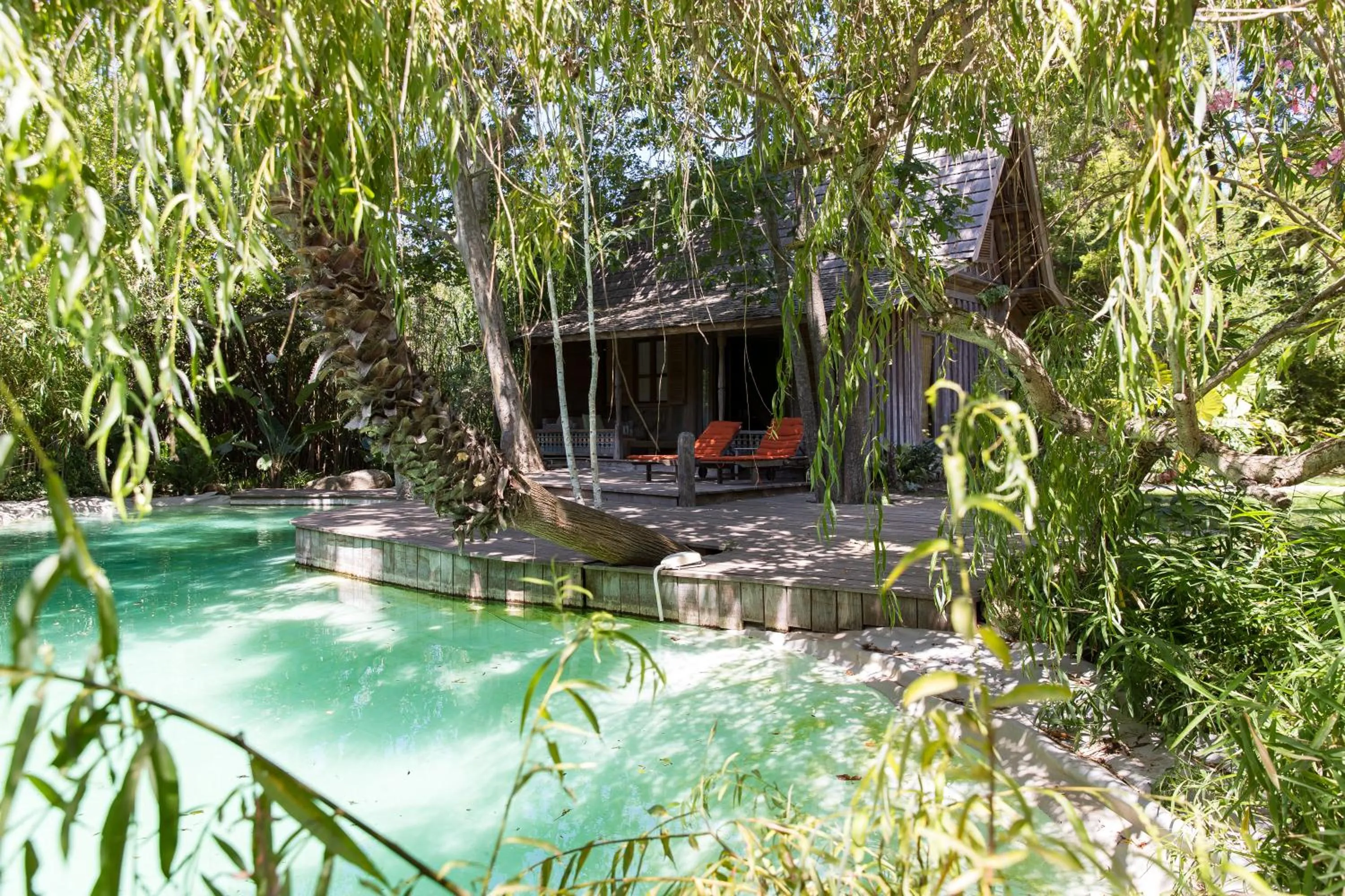 Garden view in Domaine Les Mésanges