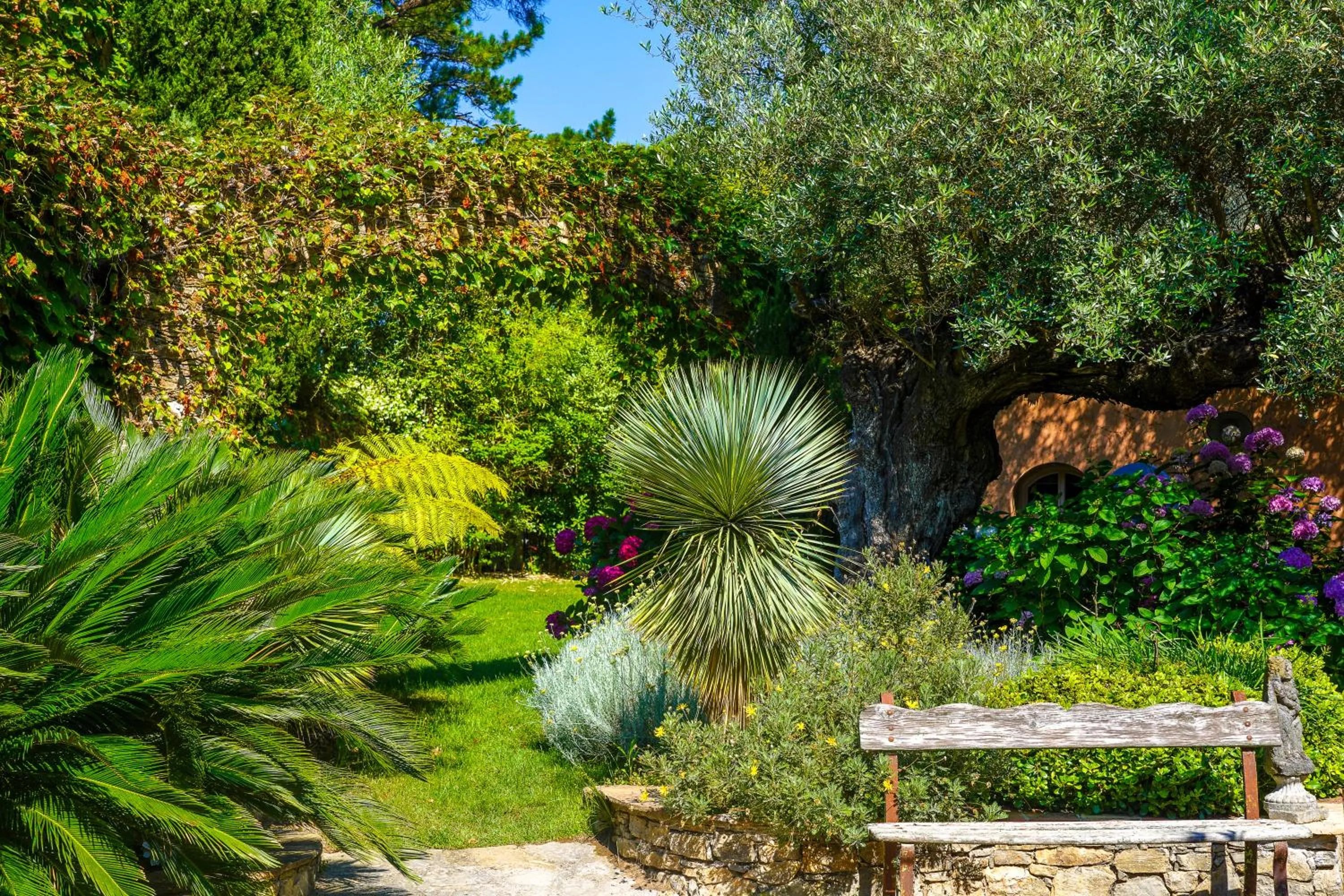 Patio in Domaine Les Mésanges