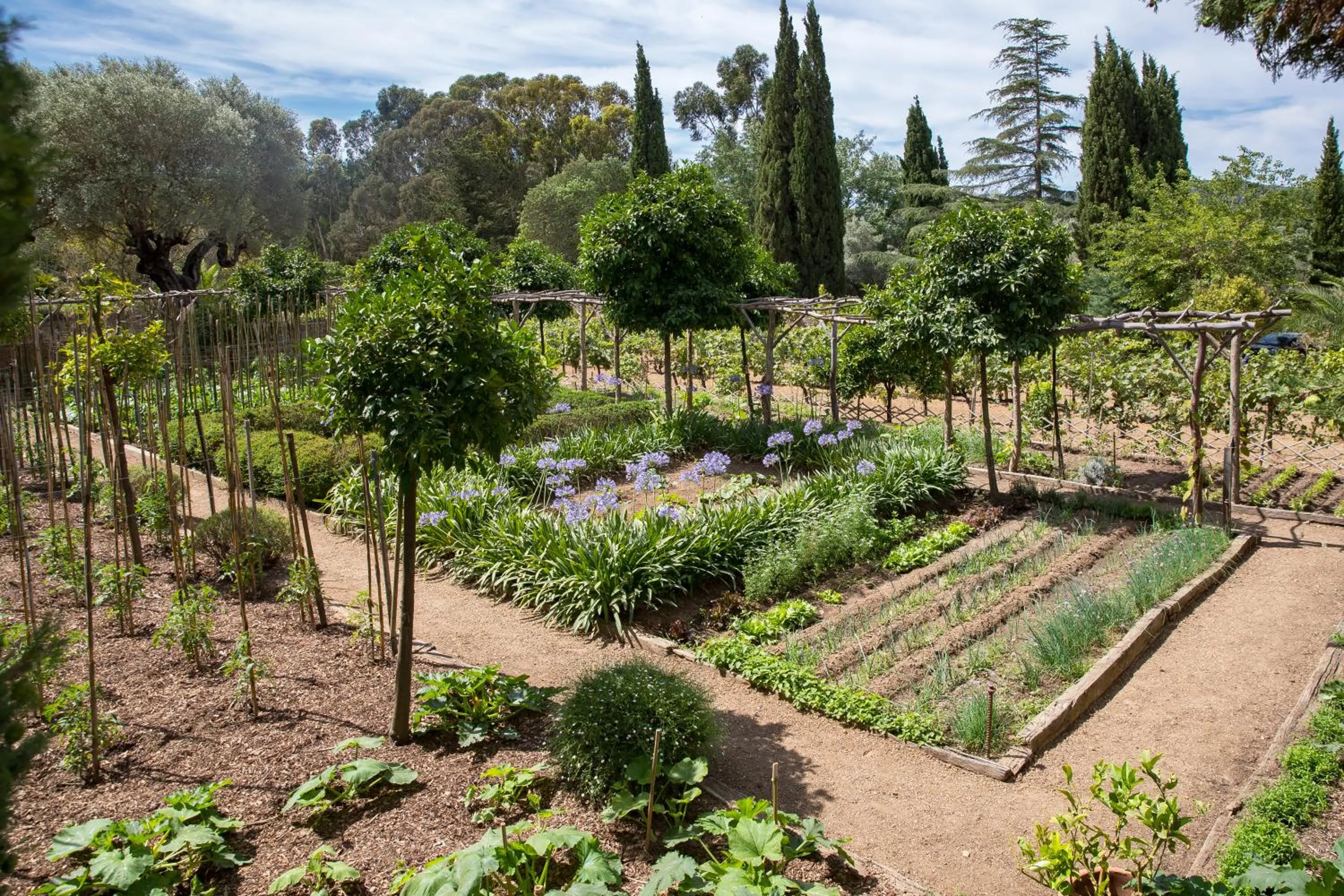 Natural landscape in Domaine Les Mésanges