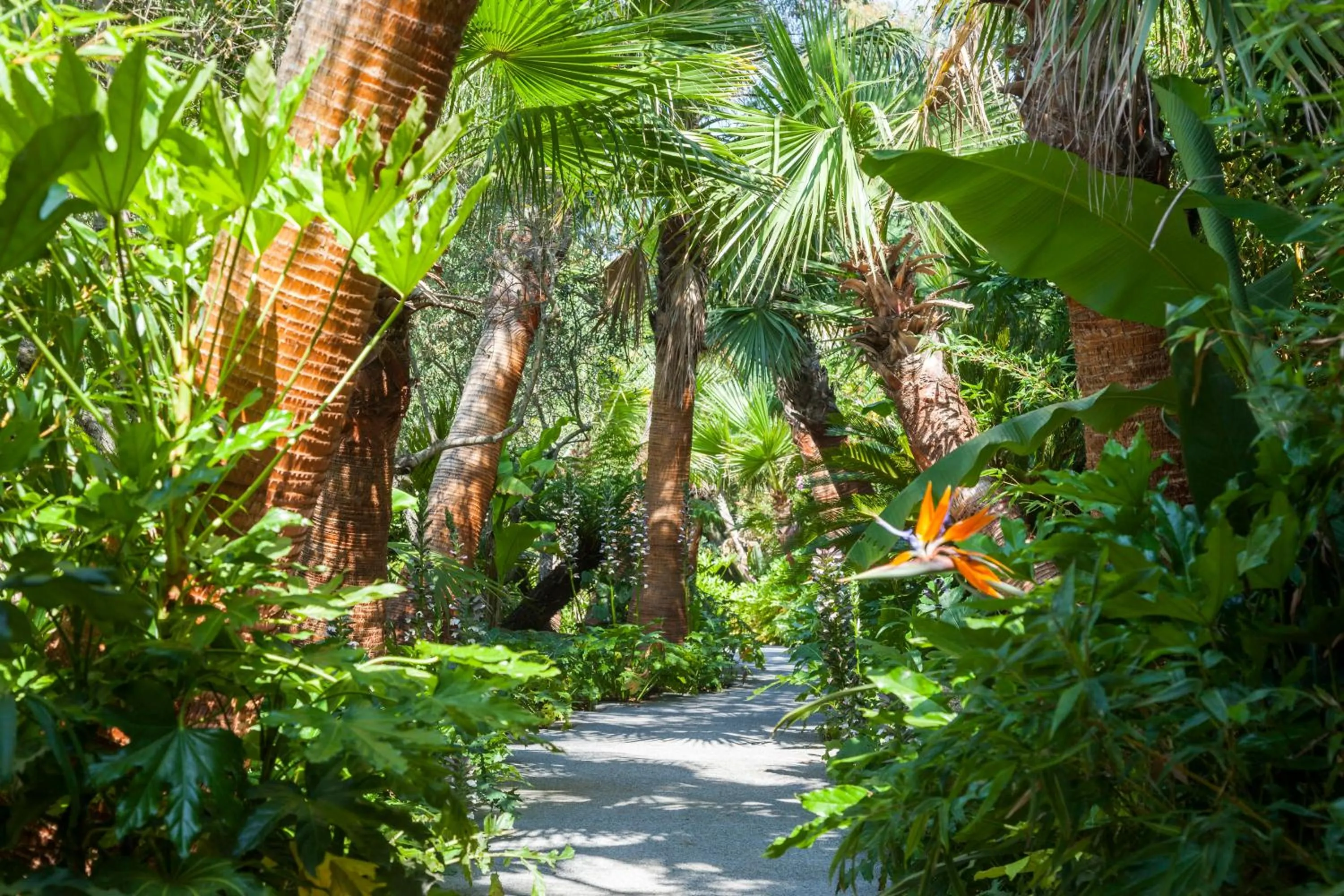 Natural landscape in Domaine Les Mésanges