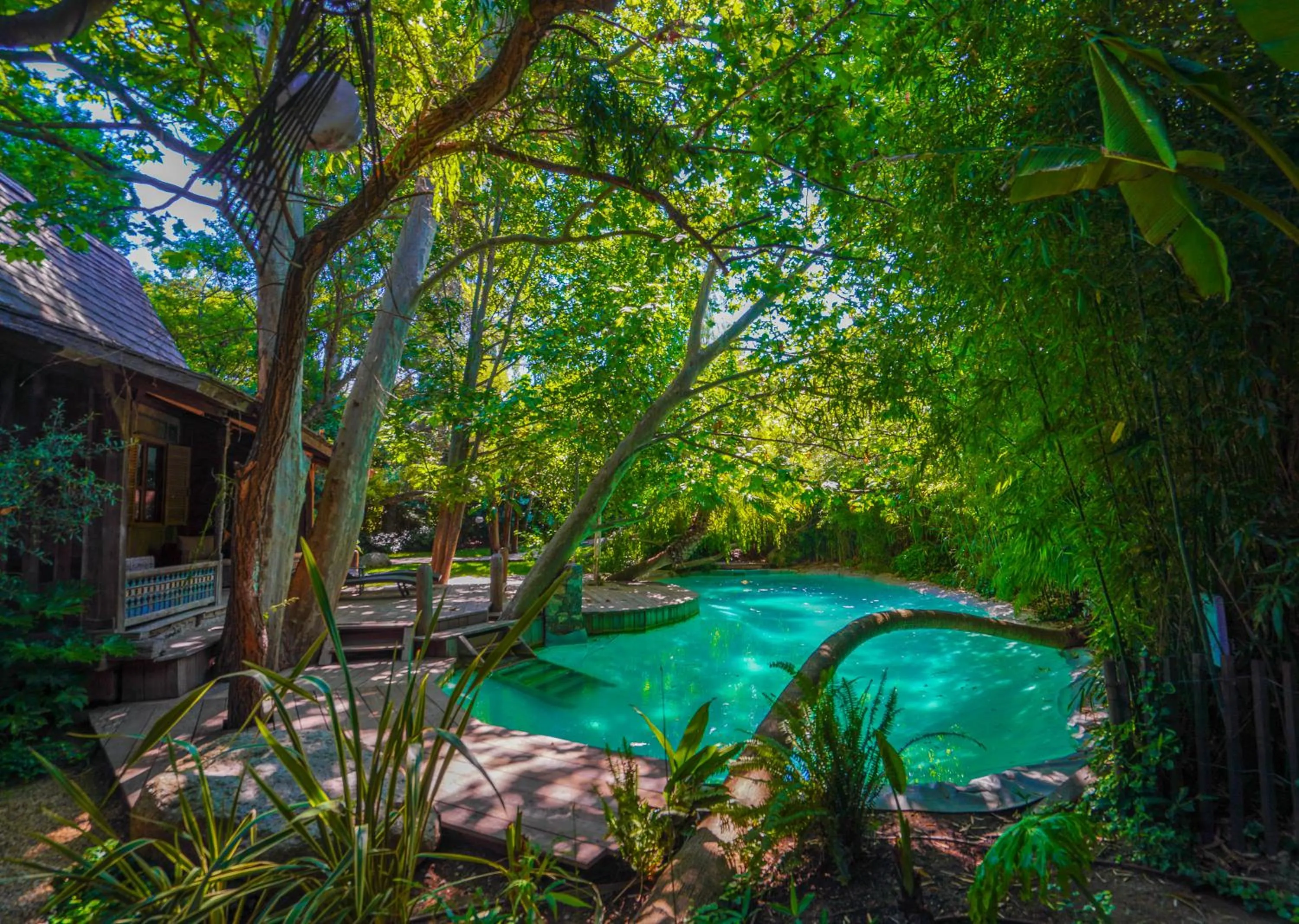 Day in Domaine Les Mésanges