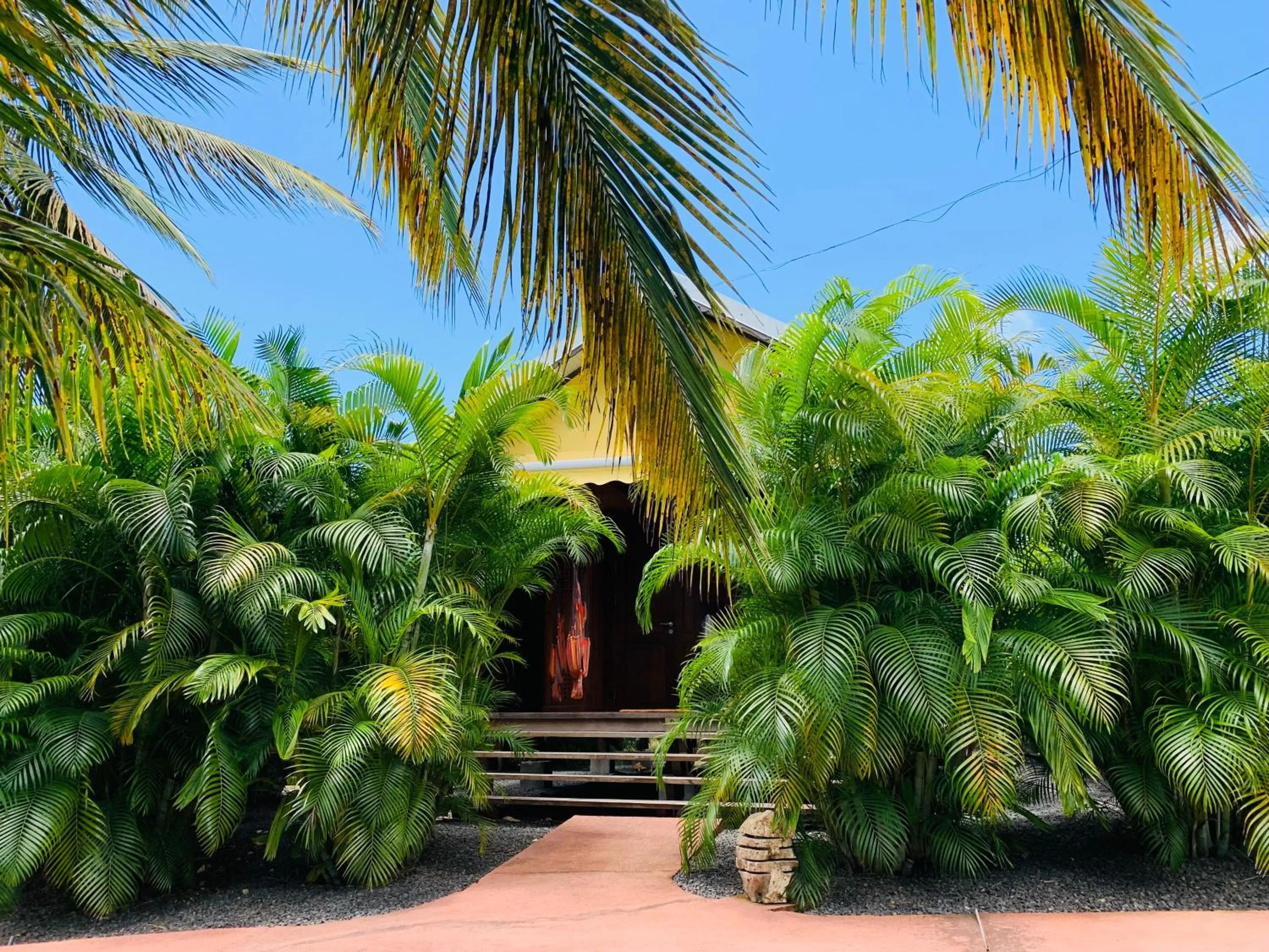View (from property/room) in Domaine Saint-François