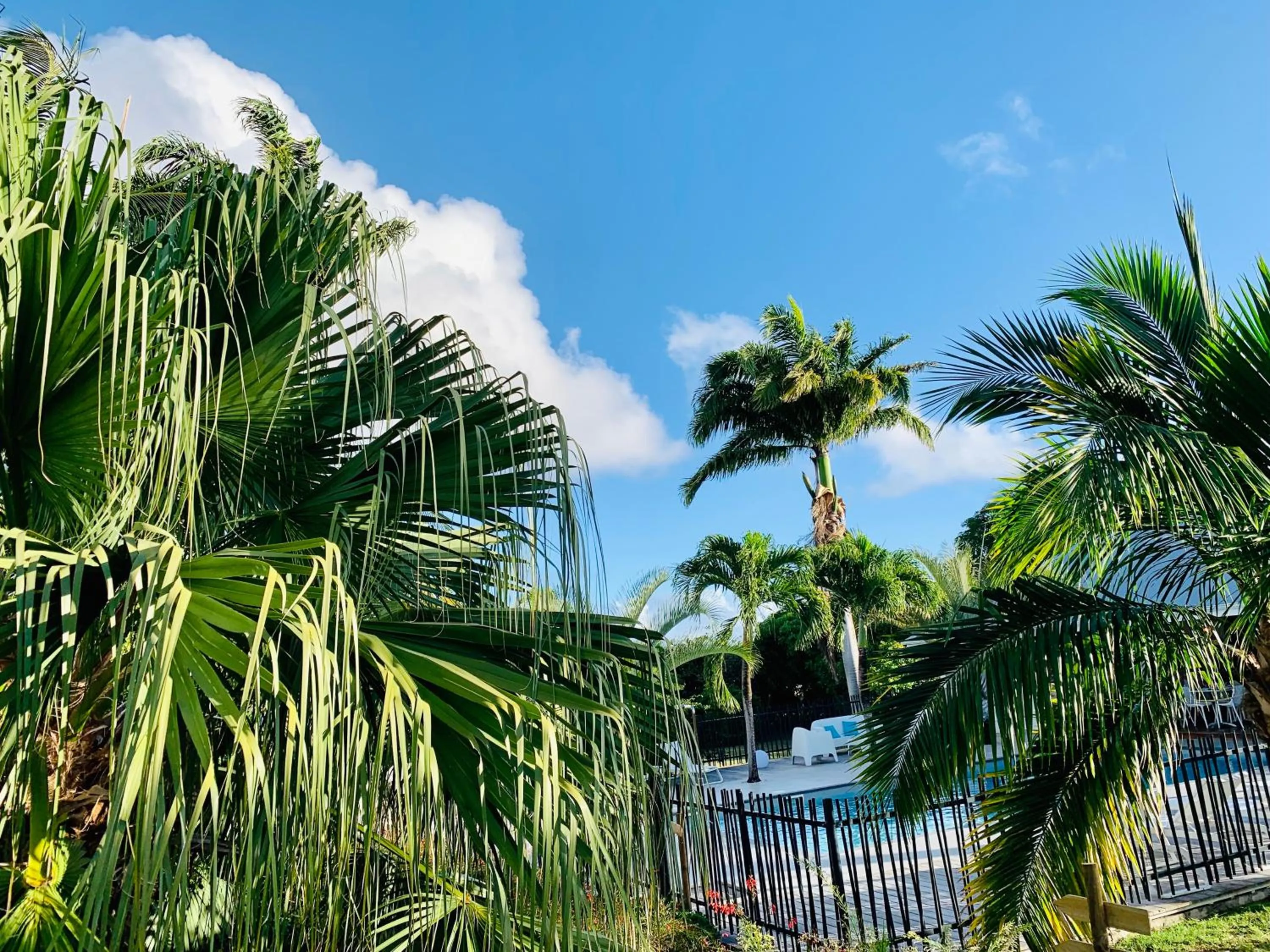 Garden in Domaine Saint-François