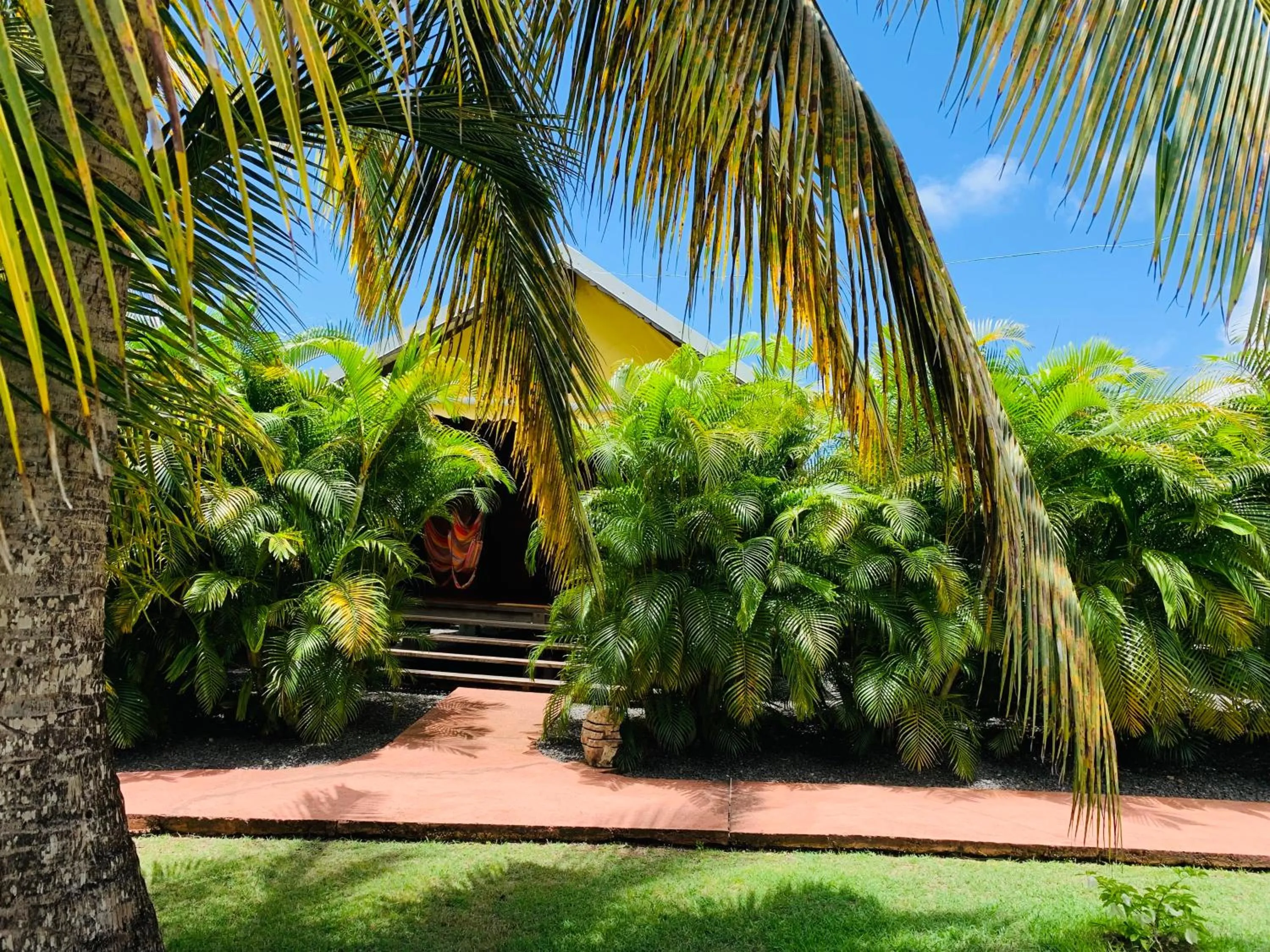 View (from property/room) in Domaine Saint-François