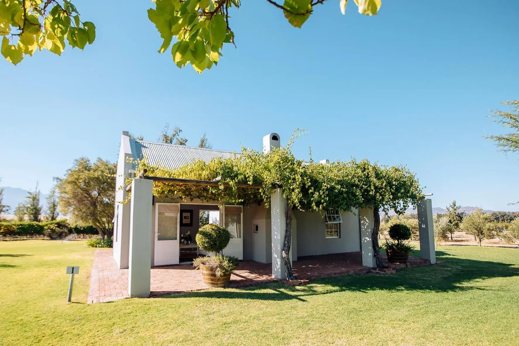 Deluxe Double Room in Saronsberg Vineyard Cottages Deluxe Double Room in Saronsberg Vineyard Cottages