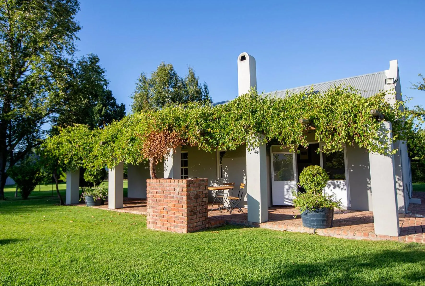 Standard Double Room in Saronsberg Vineyard Cottages