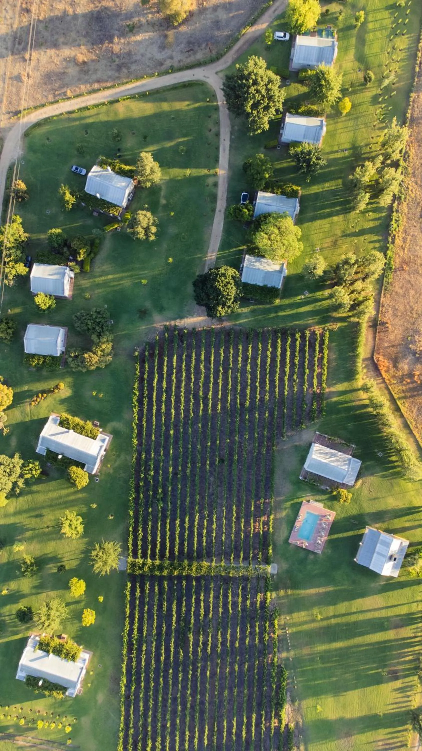 Saronsberg Vineyard Cottages