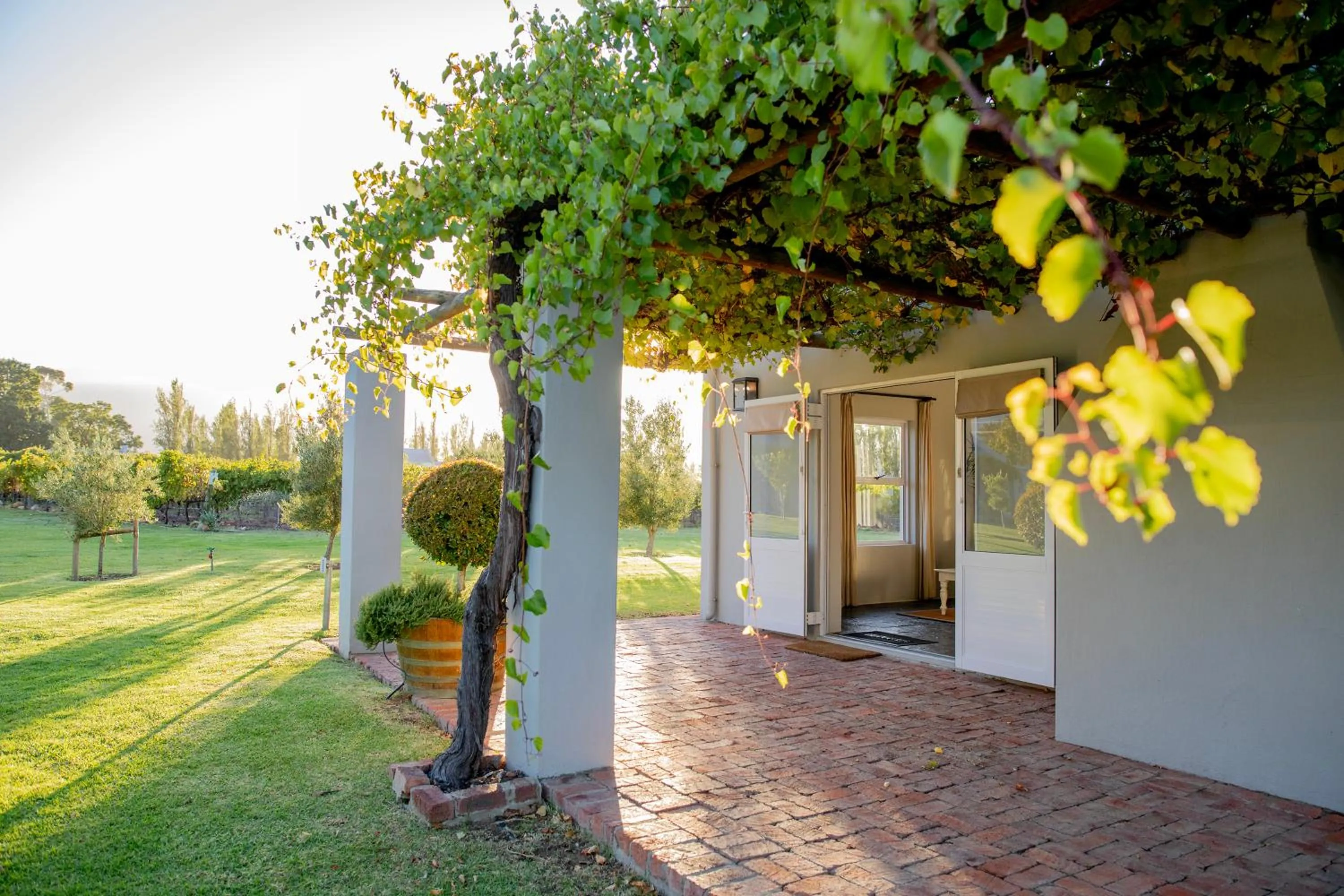 Saronsberg Vineyard Cottages
