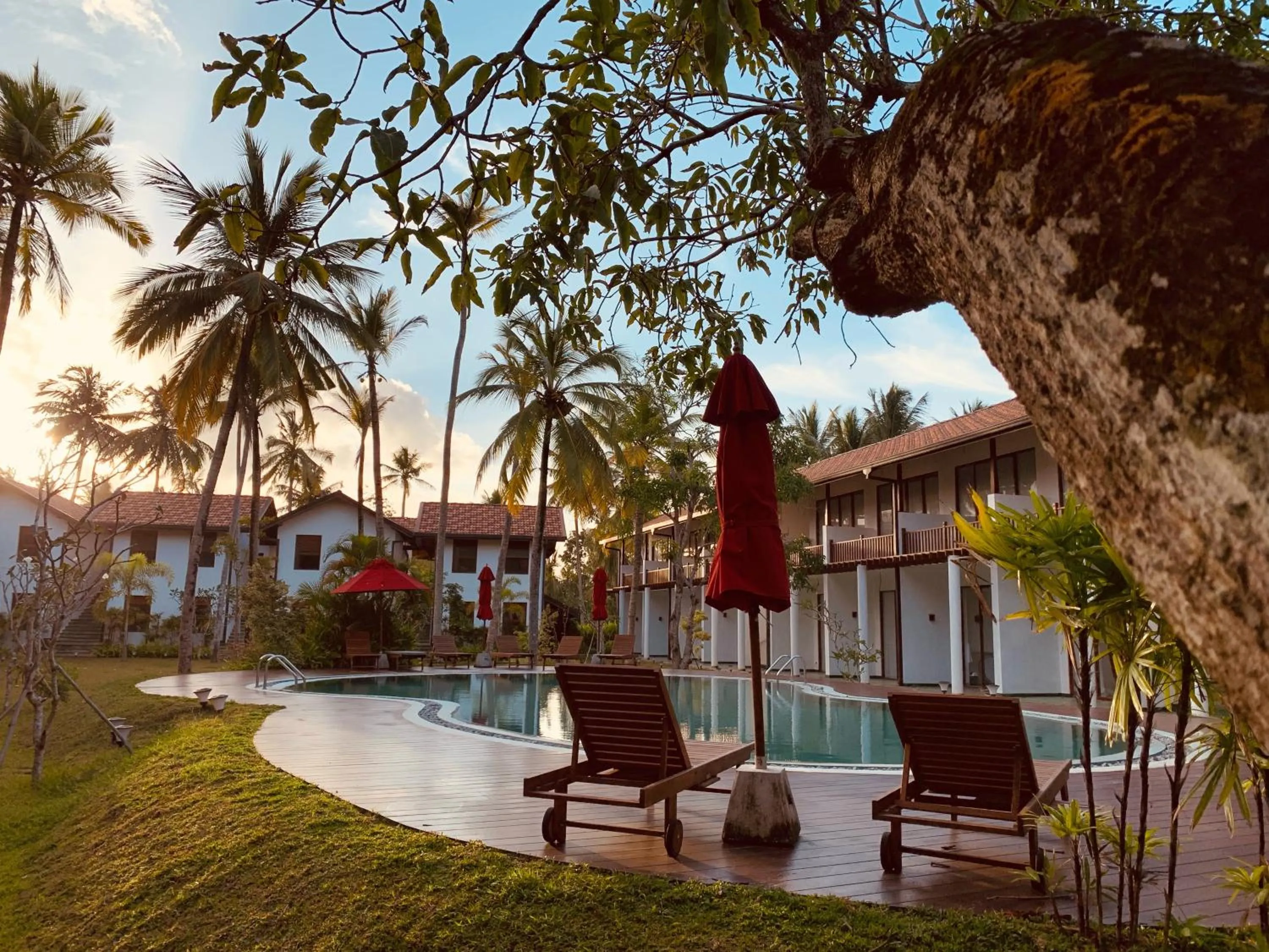 Swimming pool in Palm Garden Ayurveda Resort