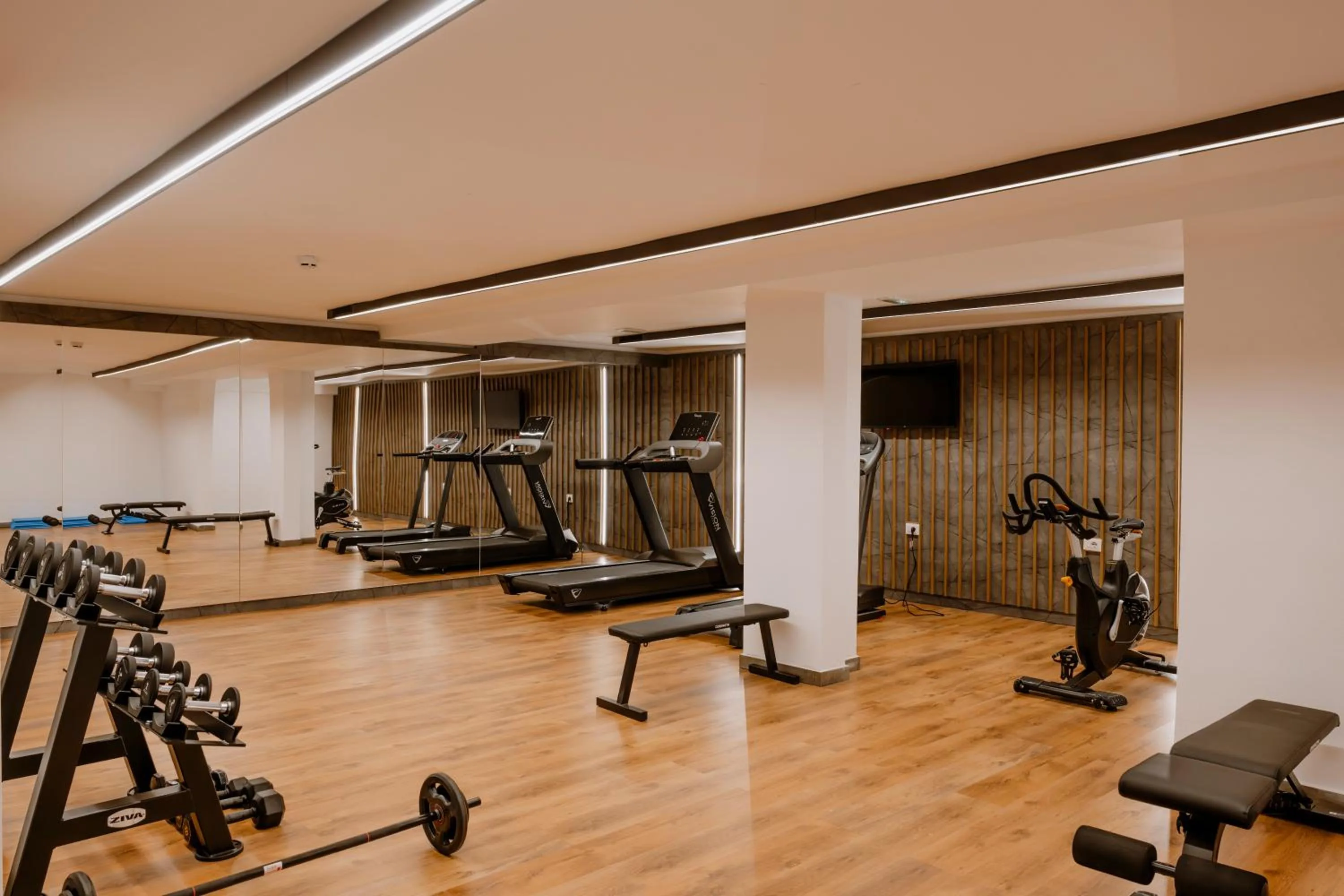 Fitness centre/facilities in Armon Greenblu Hotel & Wellness