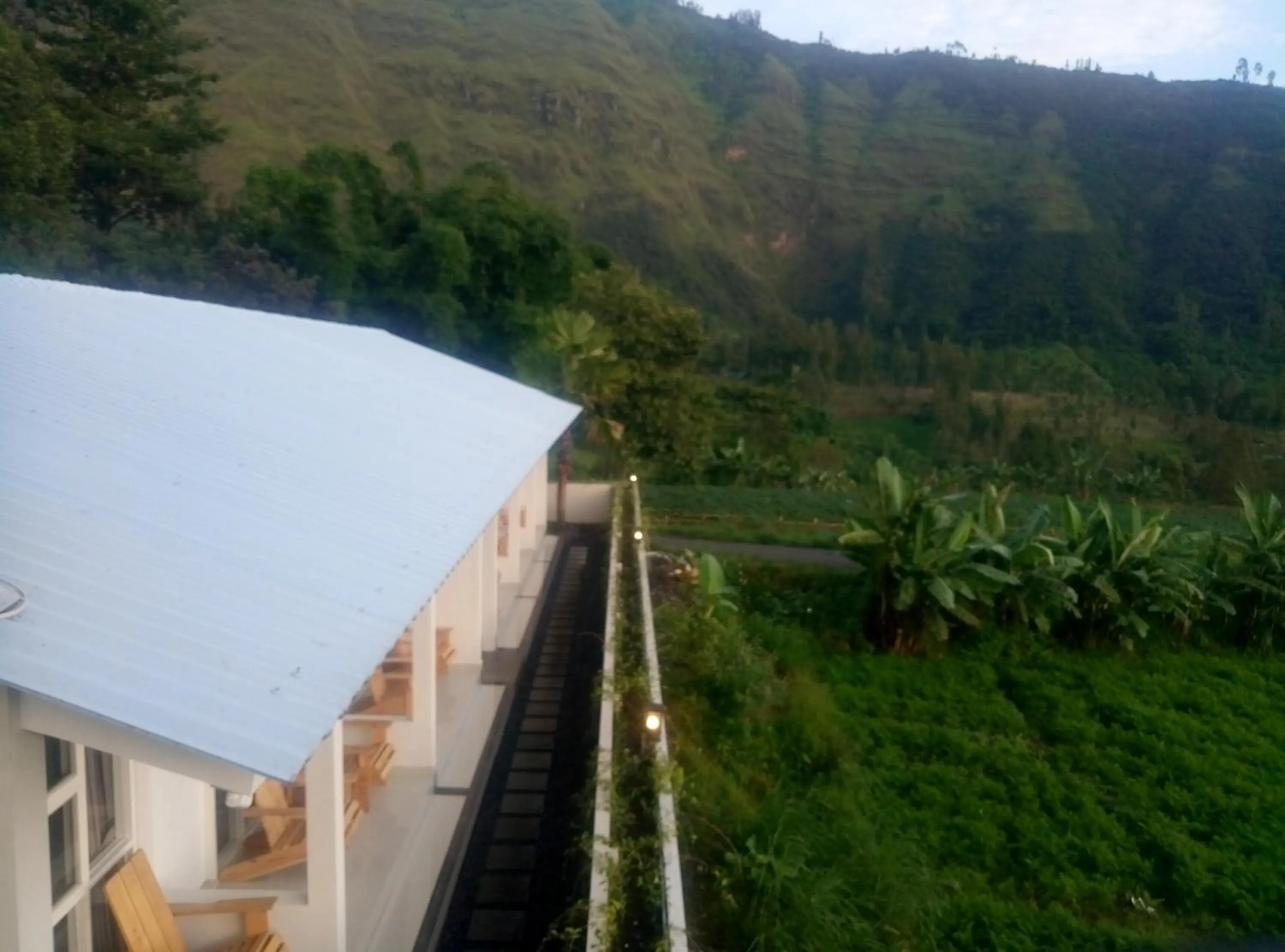Fredelia homestay
