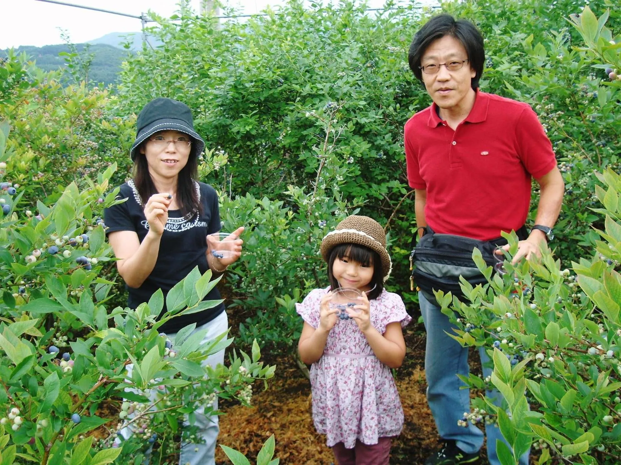 Area and facilities in Togakushi- Kogen Minshuku Rindo