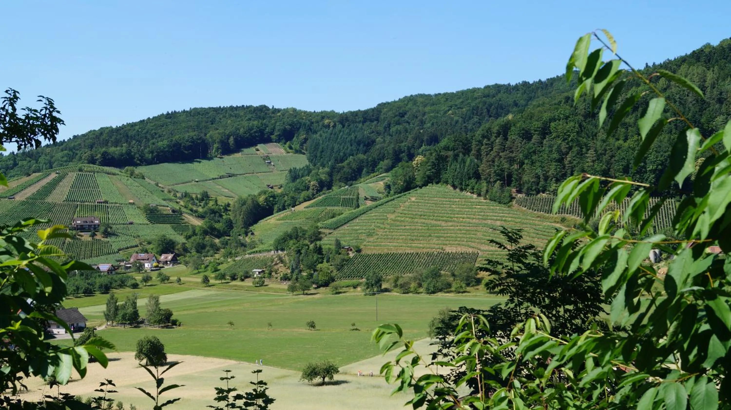 Natural landscape in Hotel Schwarzenbergs Traube