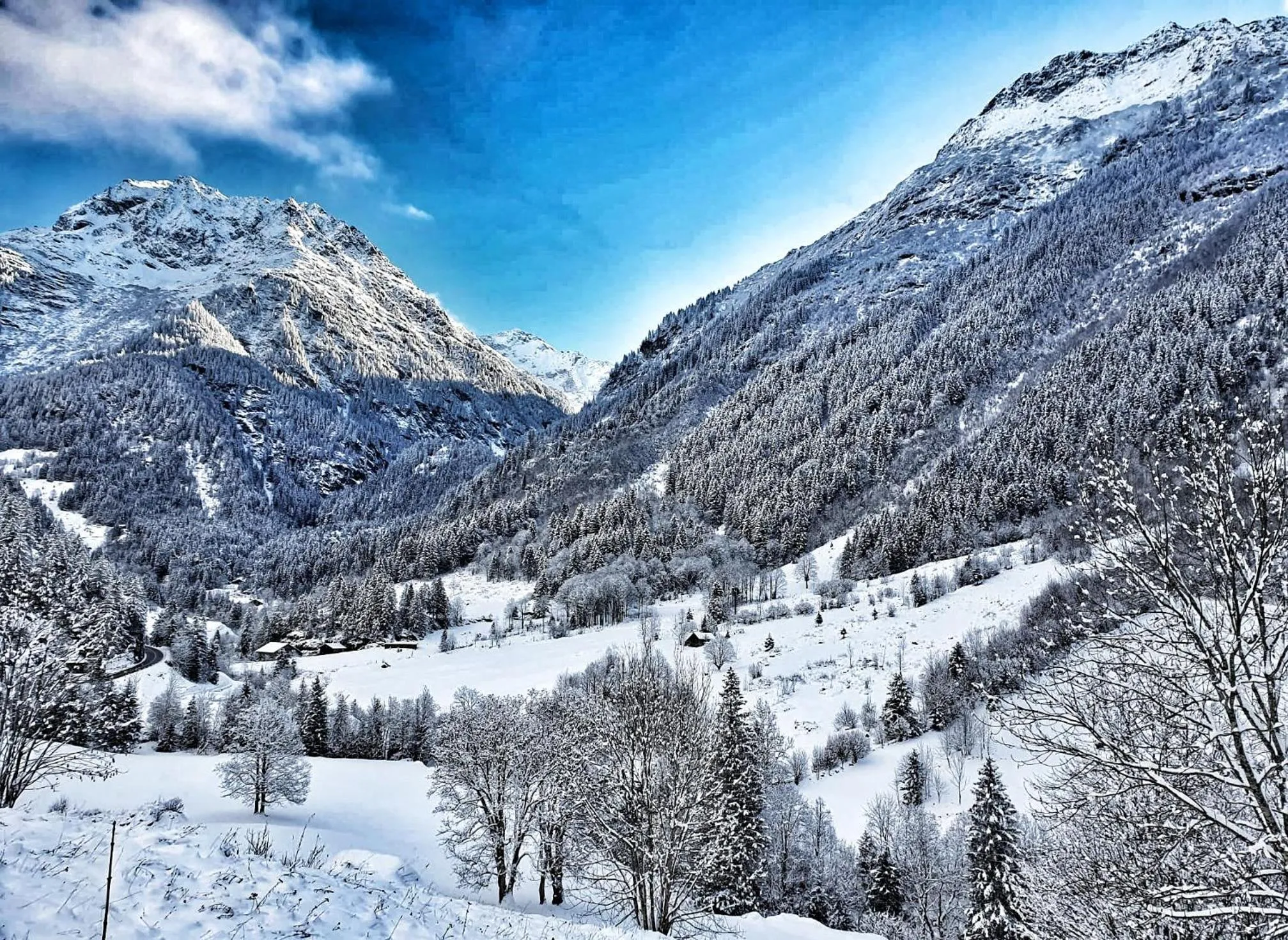 Garden view in Triftblick