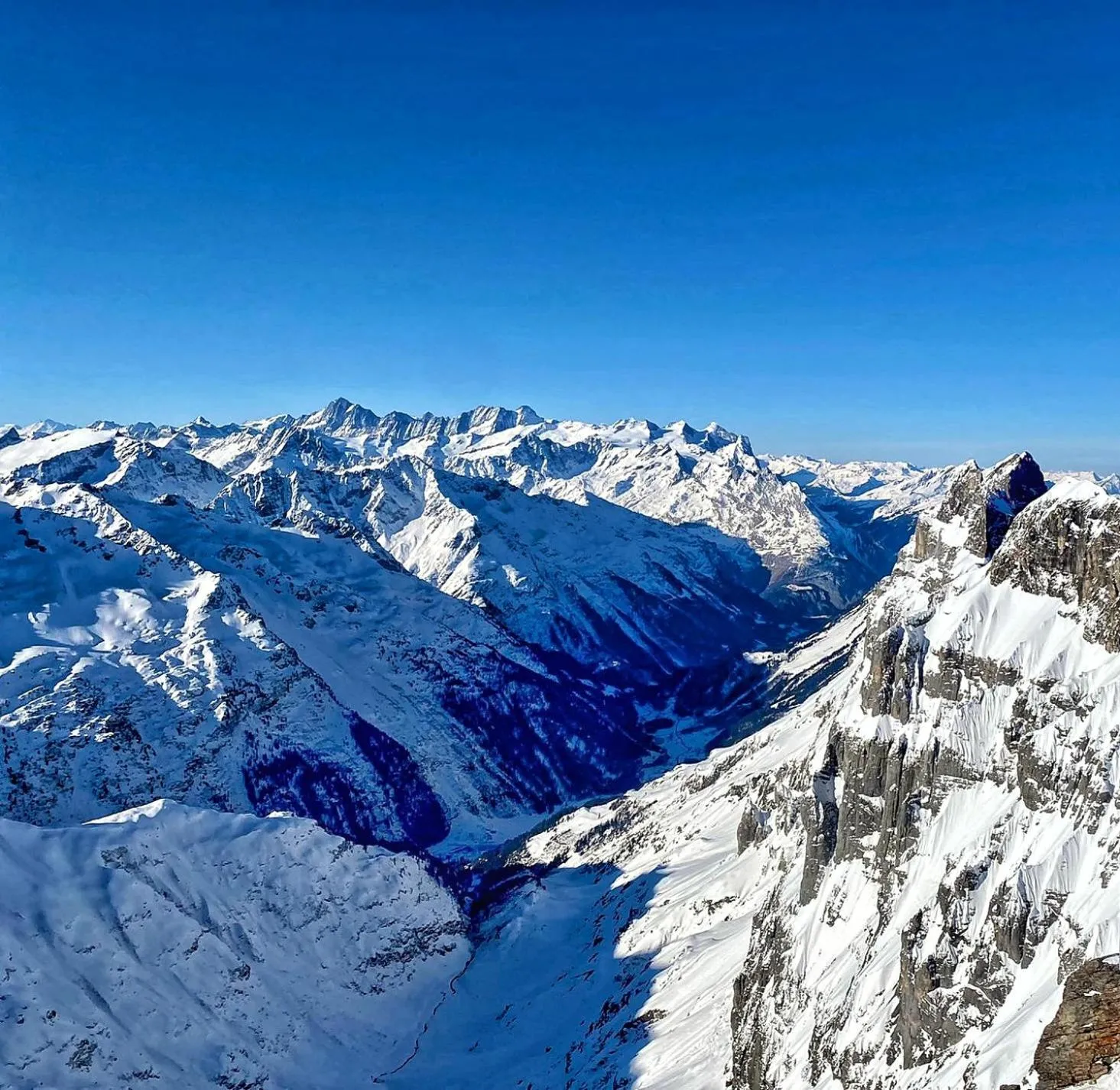 Triftblick