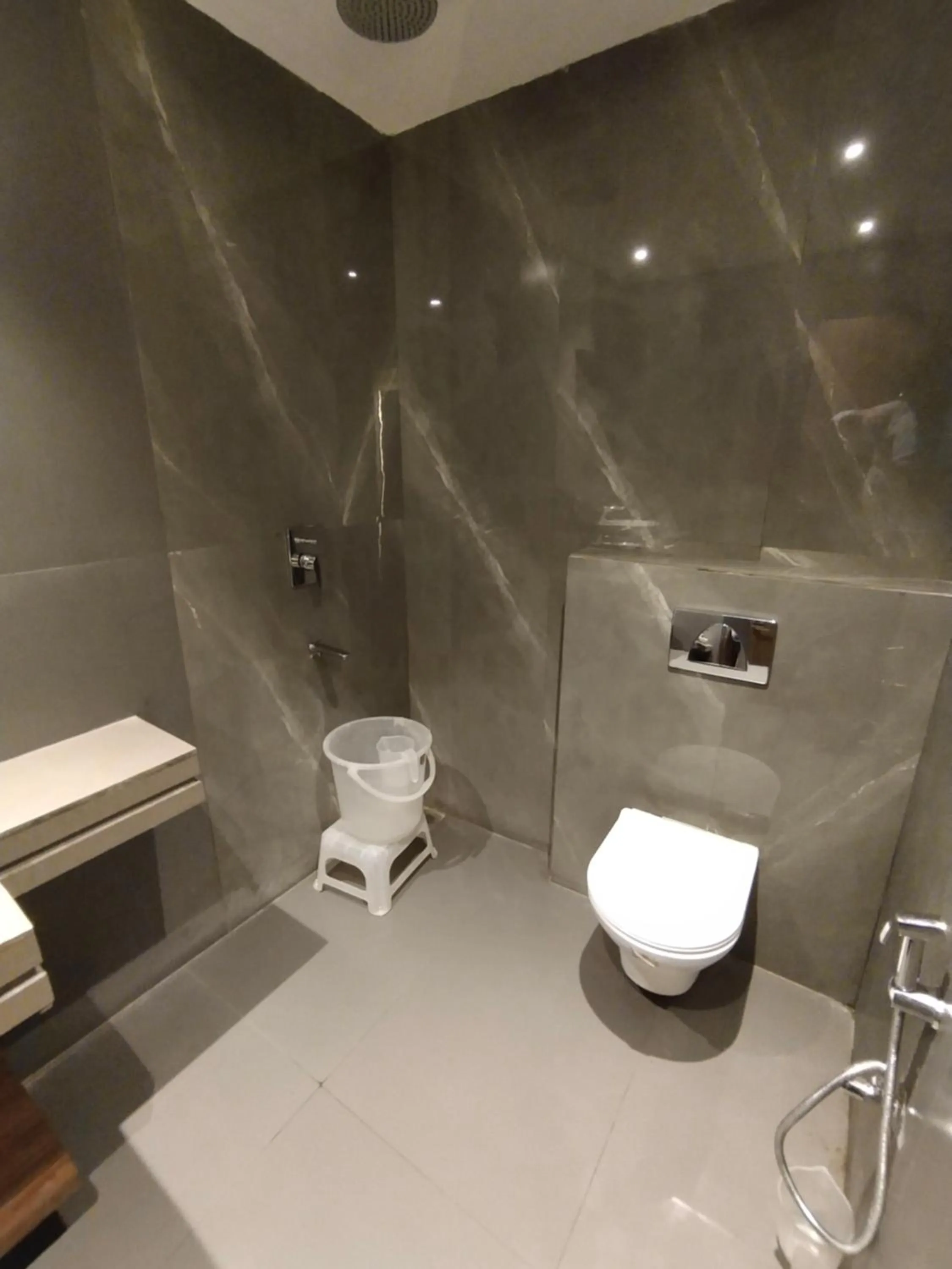 Shower in Hotel Gagan Plaza