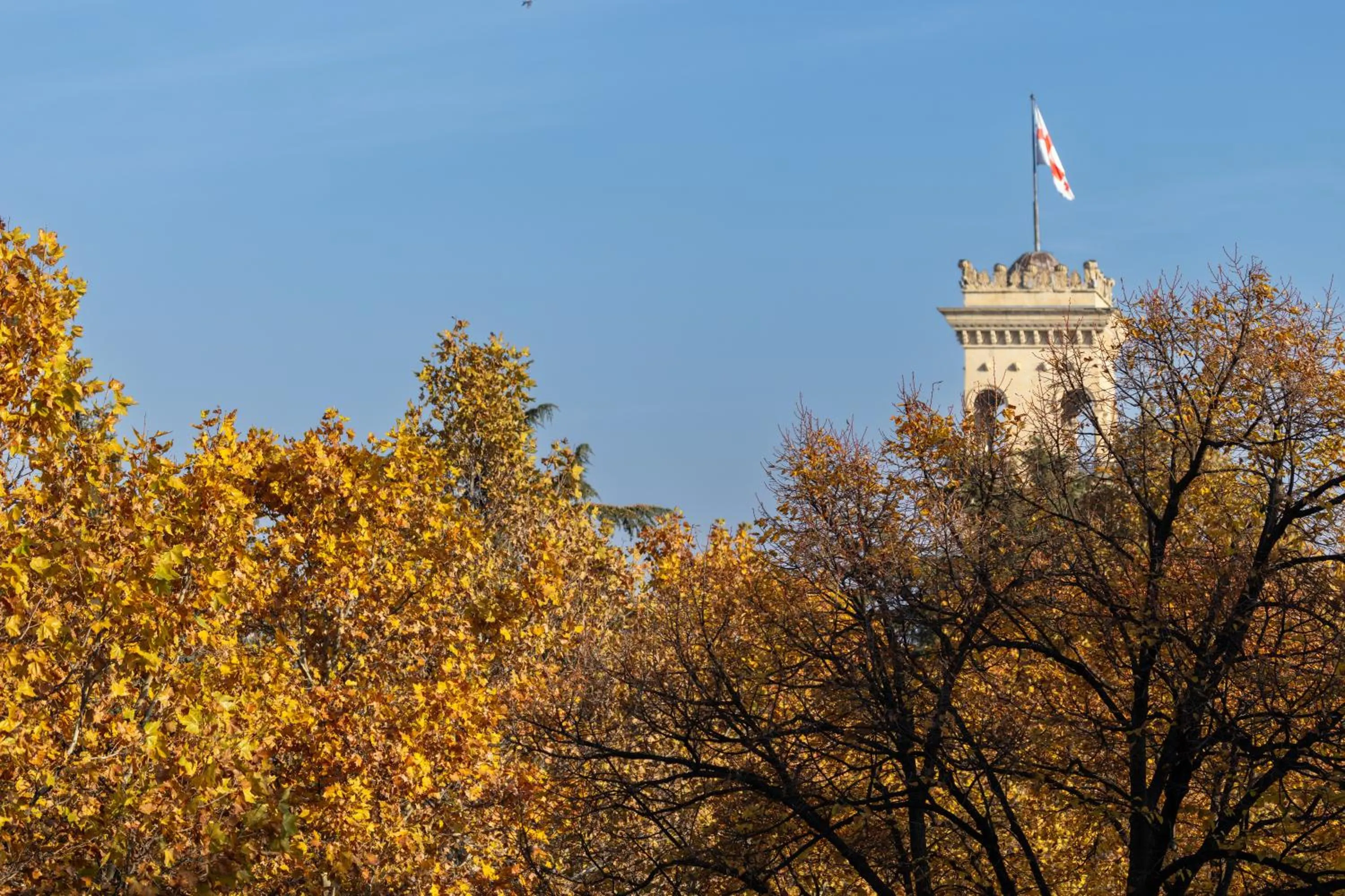 View (from property/room) in Georgia Gold