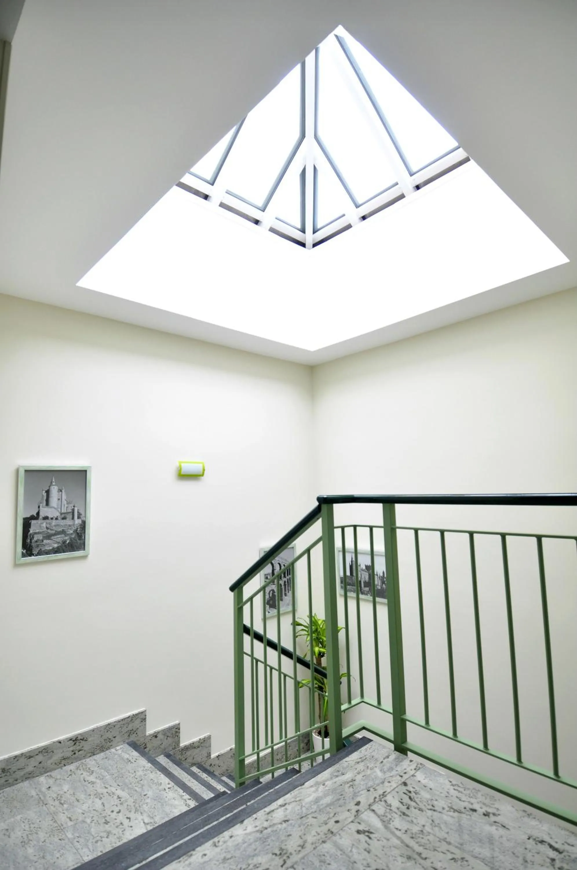 Area and facilities in Hotel Apartamentos Aralso