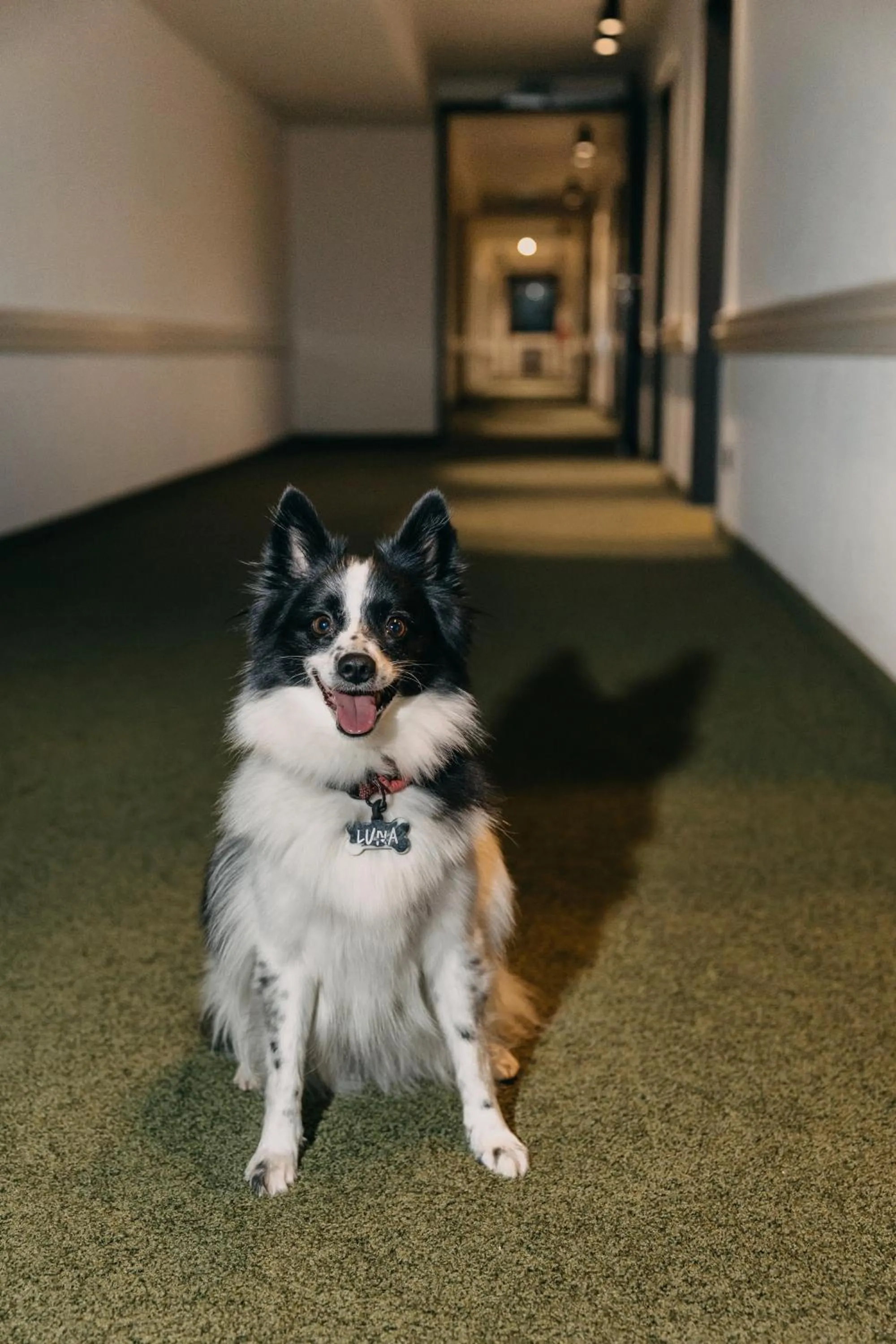 pet friendly in Hotel Forsthaus Nürnberg Fürth