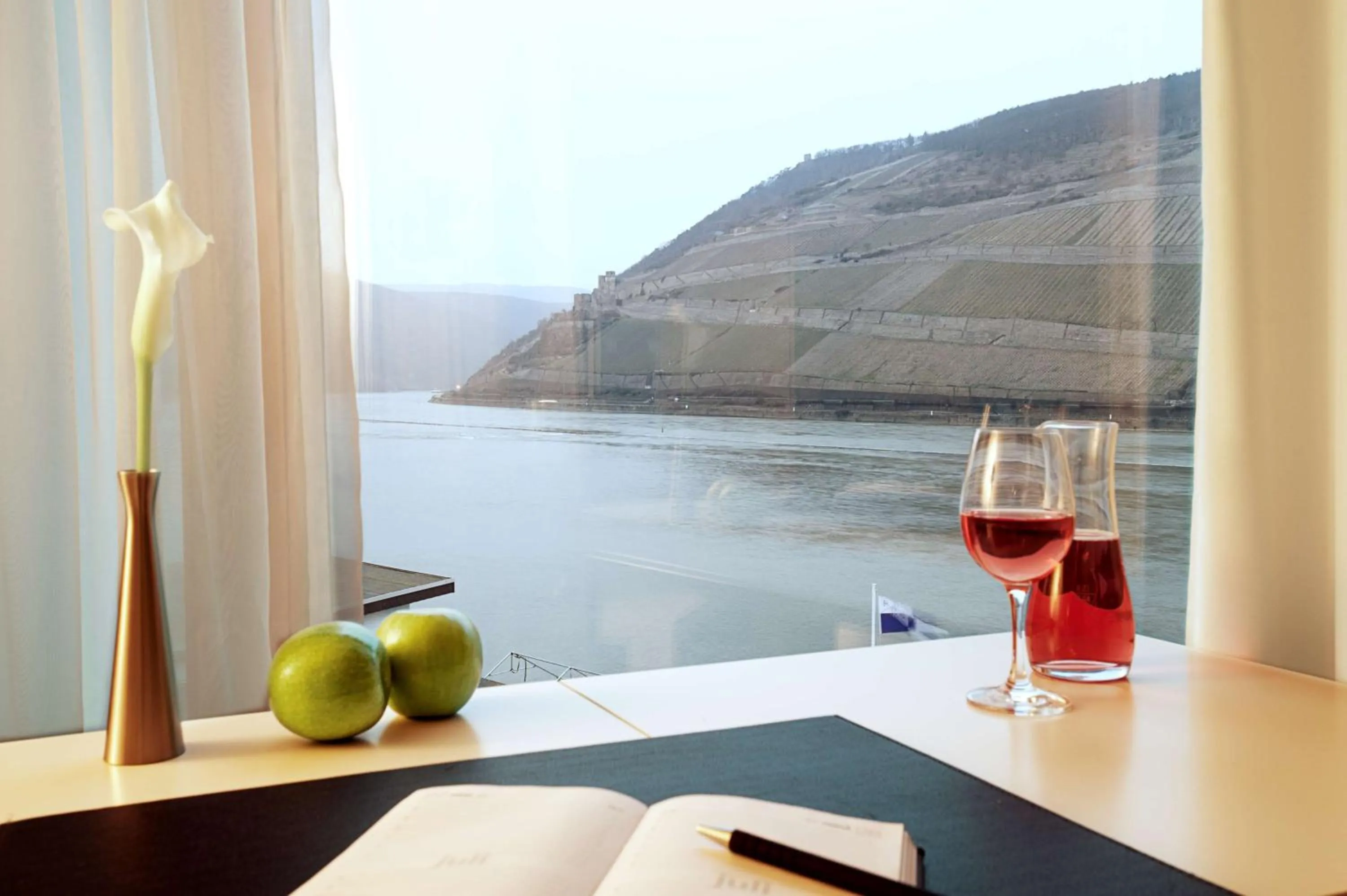 View (from property/room) in NH Bingen