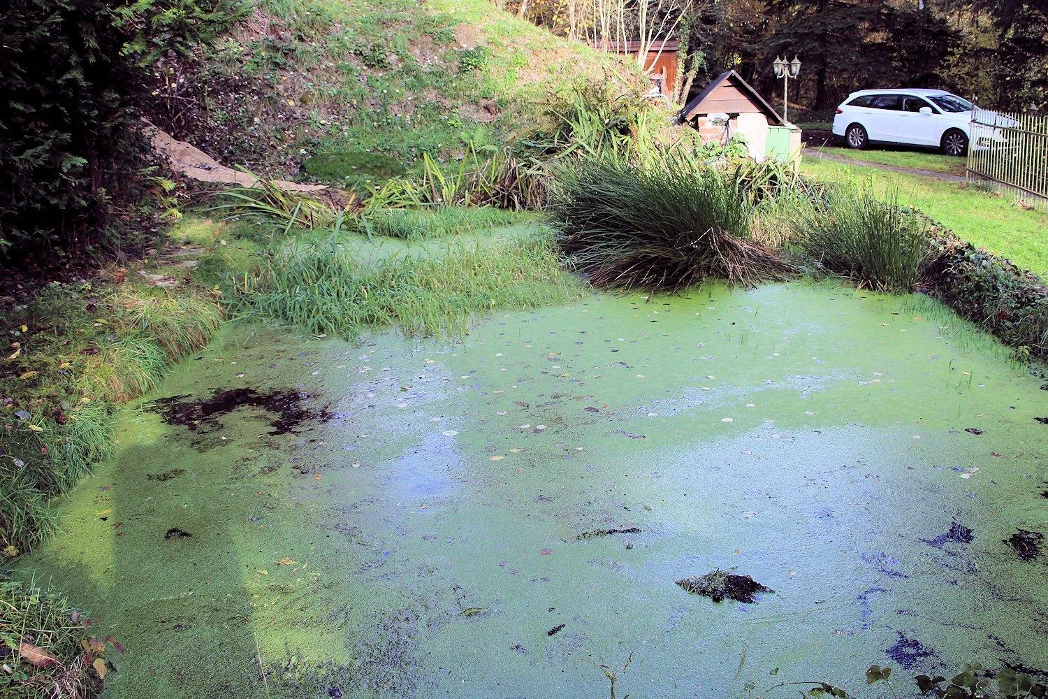 BBQ facilities in Haus Teufenbach