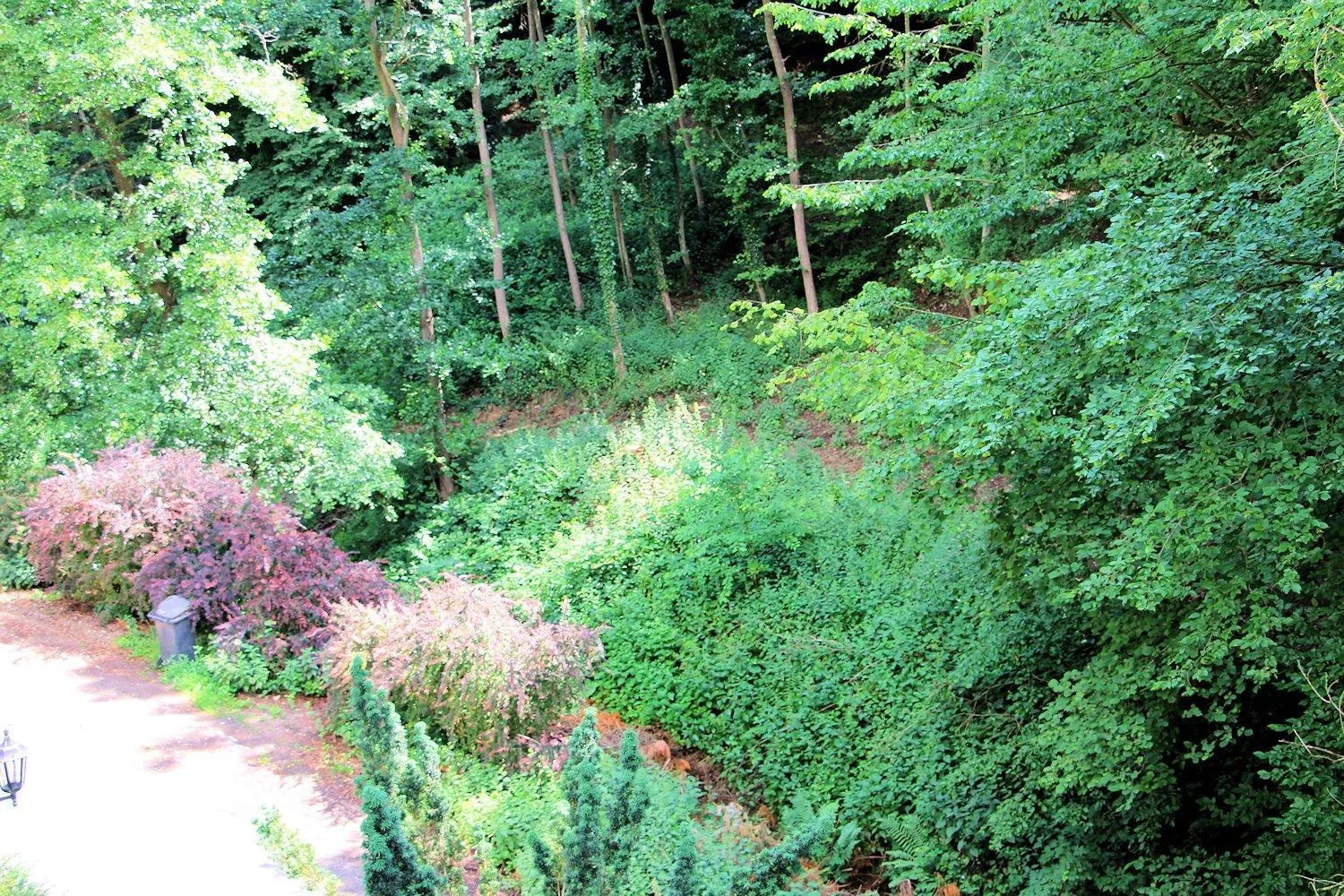 Mountain view in Haus Teufenbach
