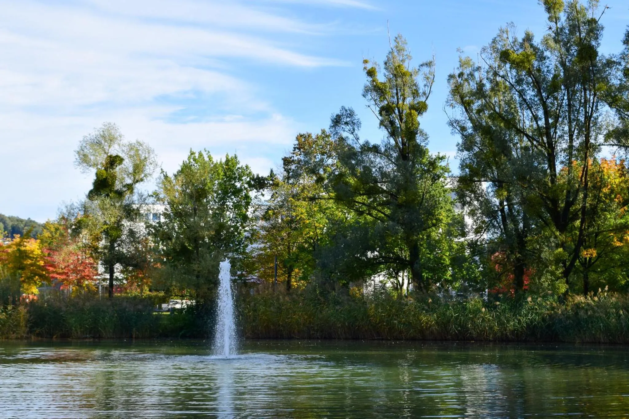 Nearby landmark in SCOTTY & PAUL Hotel Deggendorf