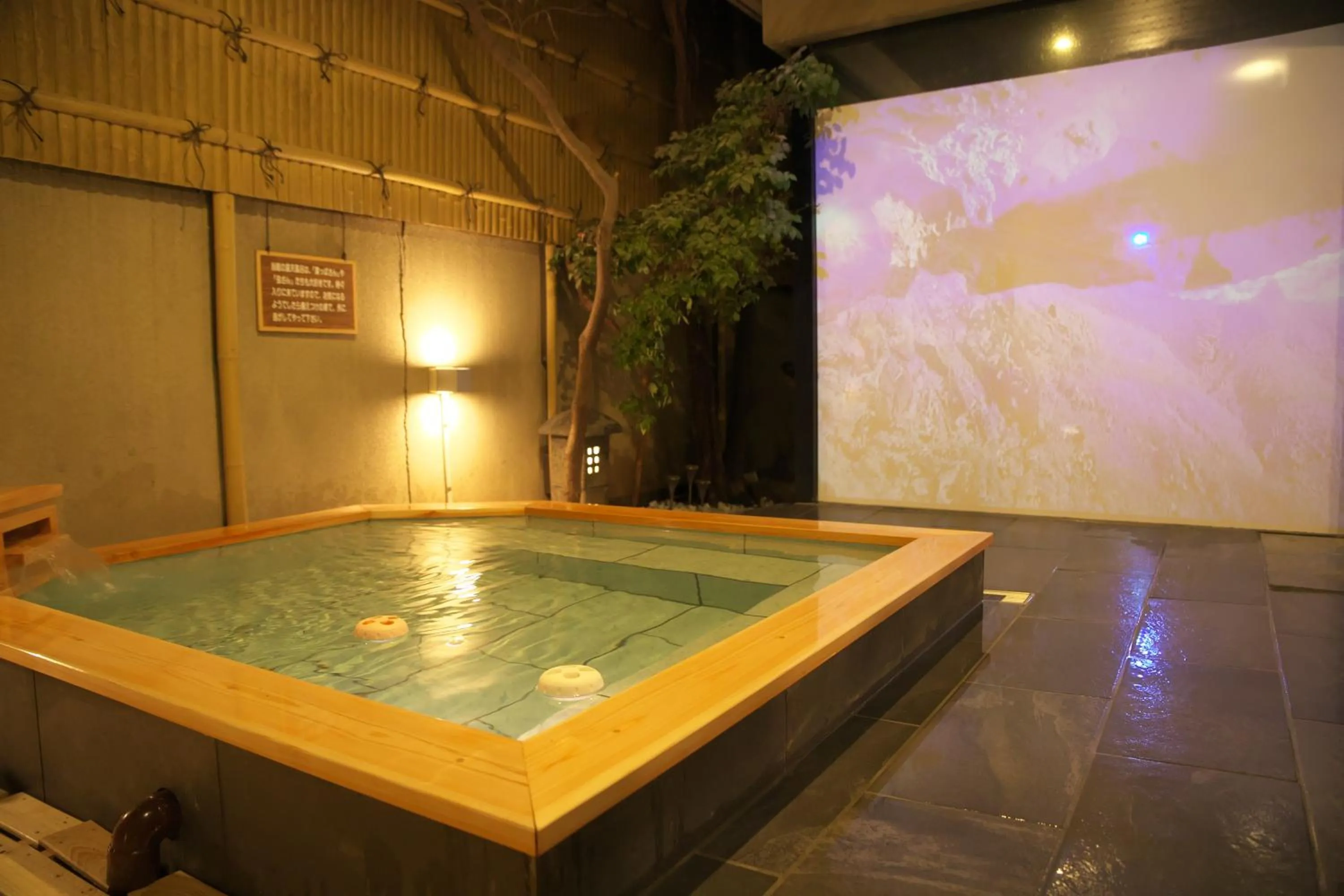 Hot Spring Bath in Hanasuishou